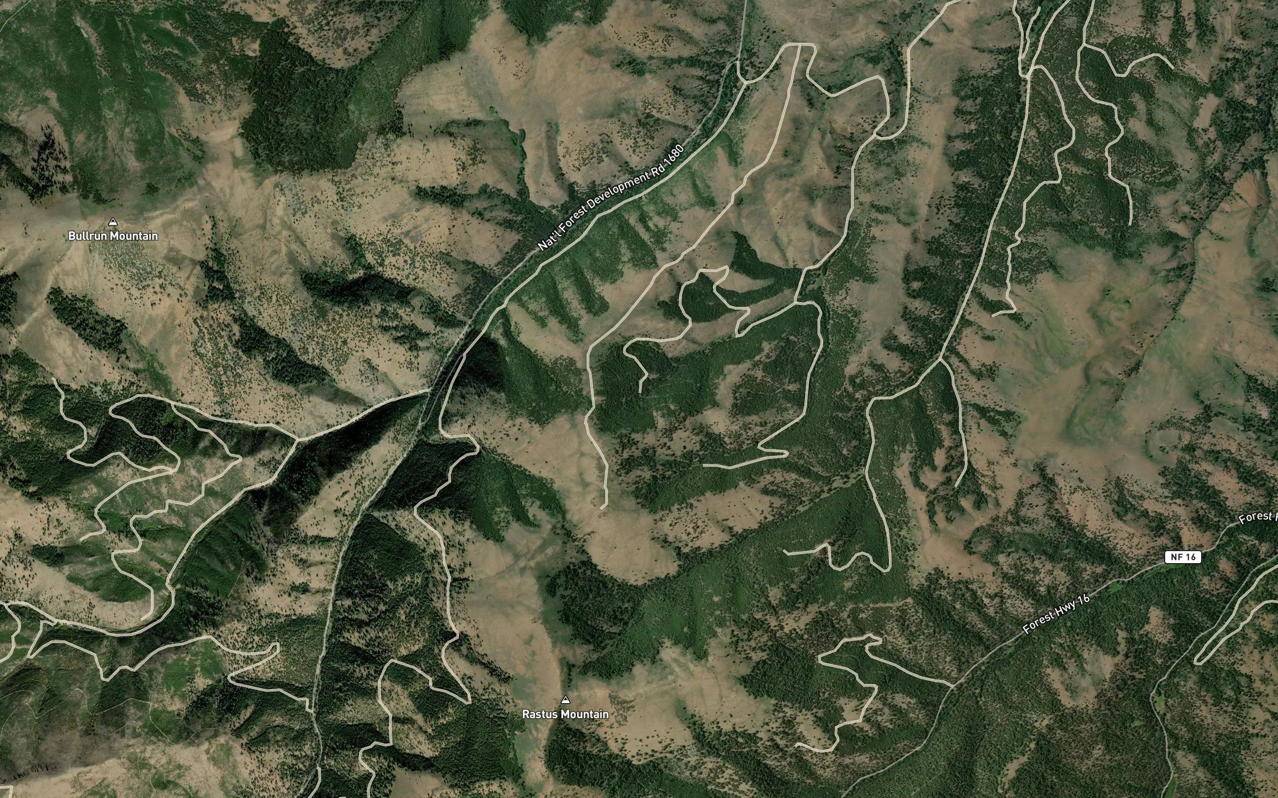Lost Cow Spring
