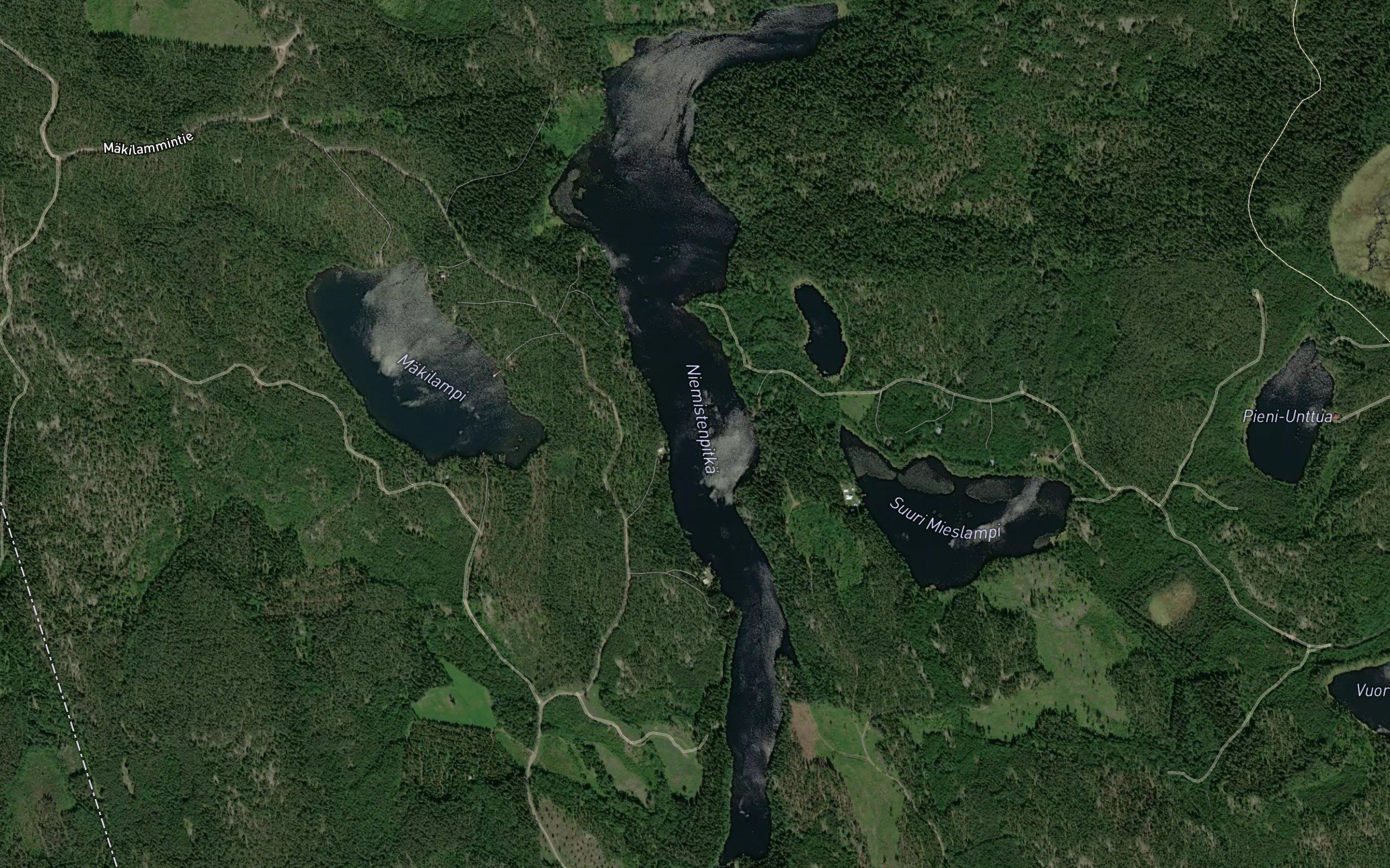 Niemistenpitka