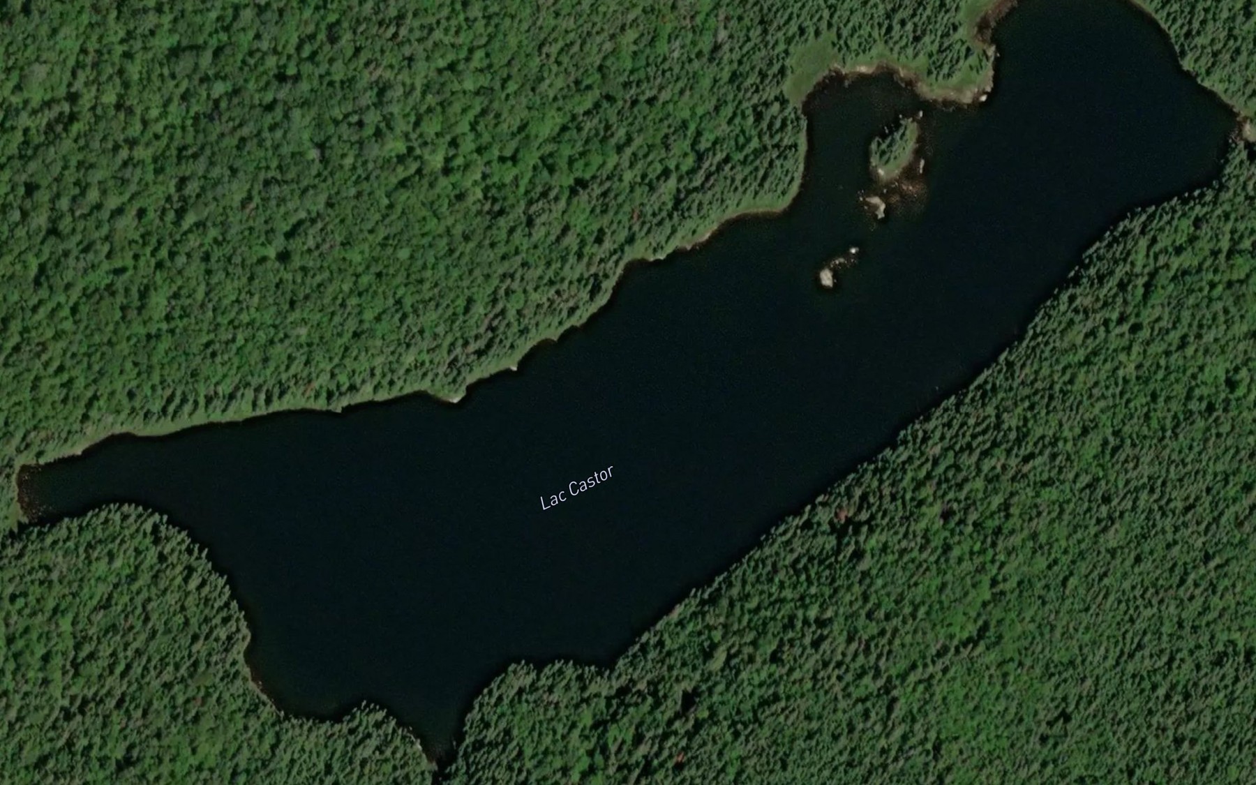 Satellite map of the Lac Castor
