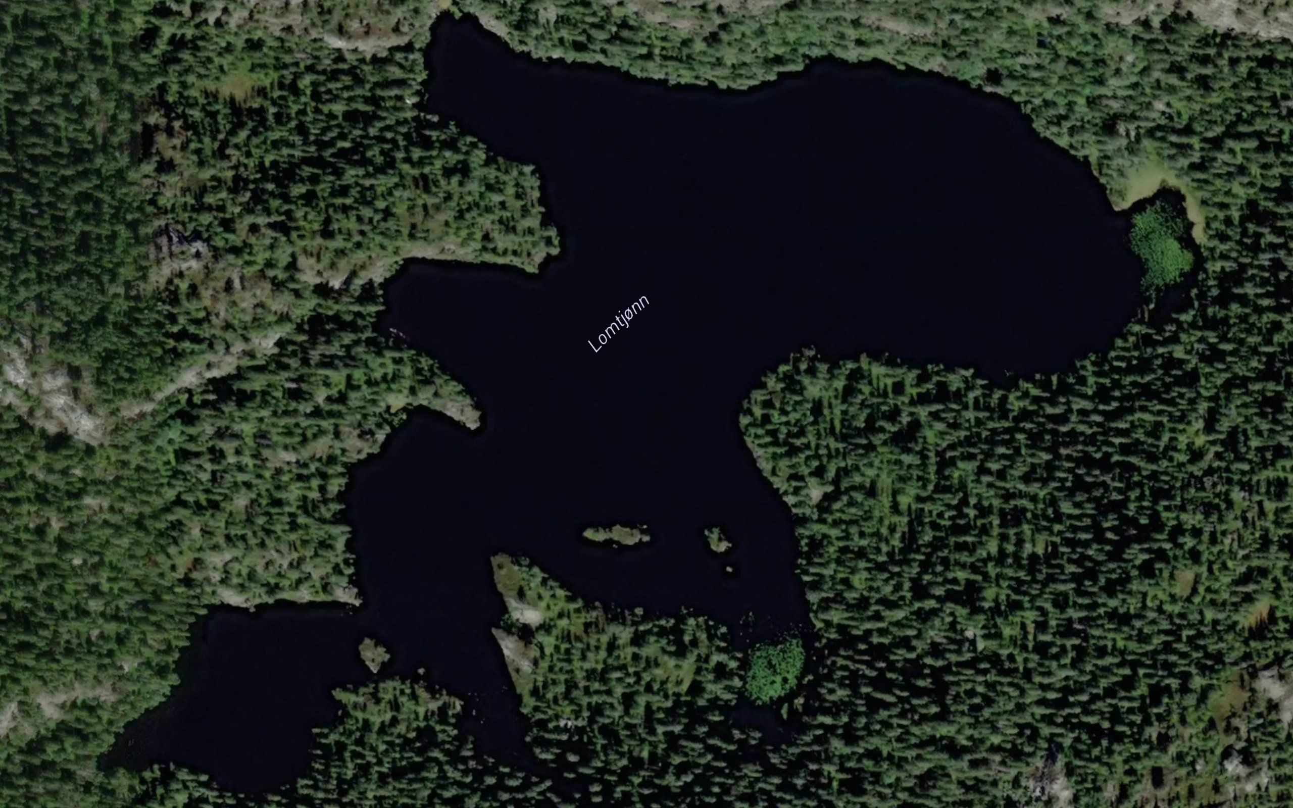 Lomtjonn