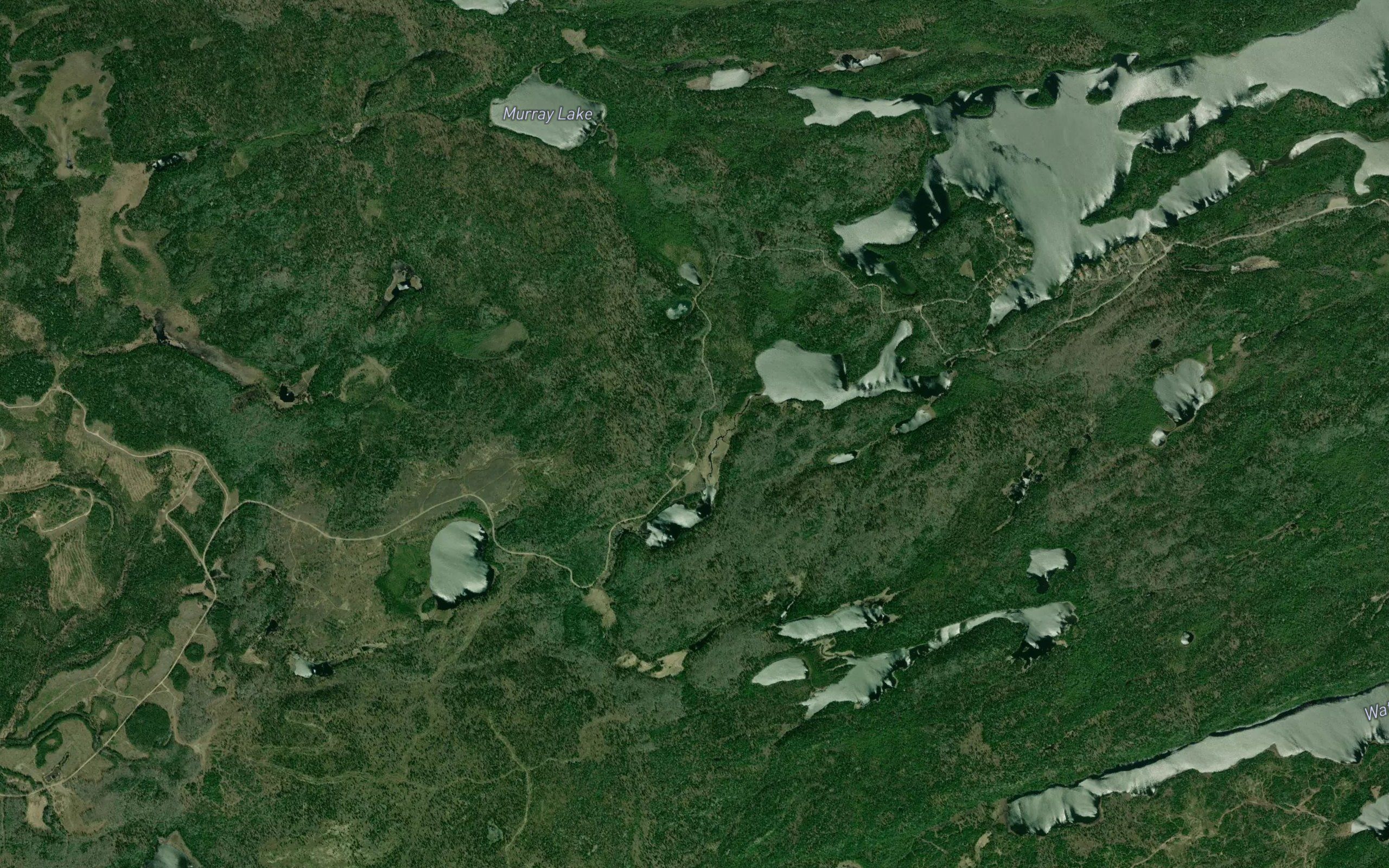 Gooseneck Creek