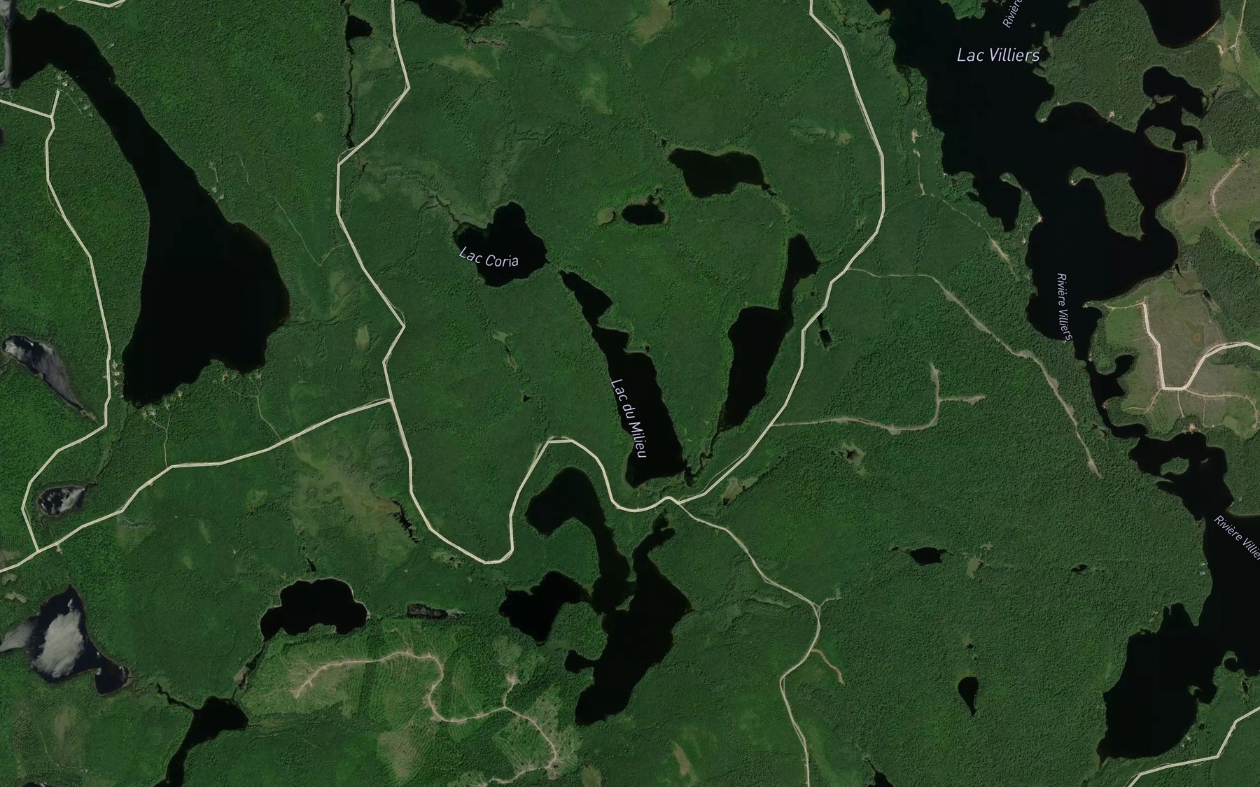 Satellite map of the Lac du Milieu