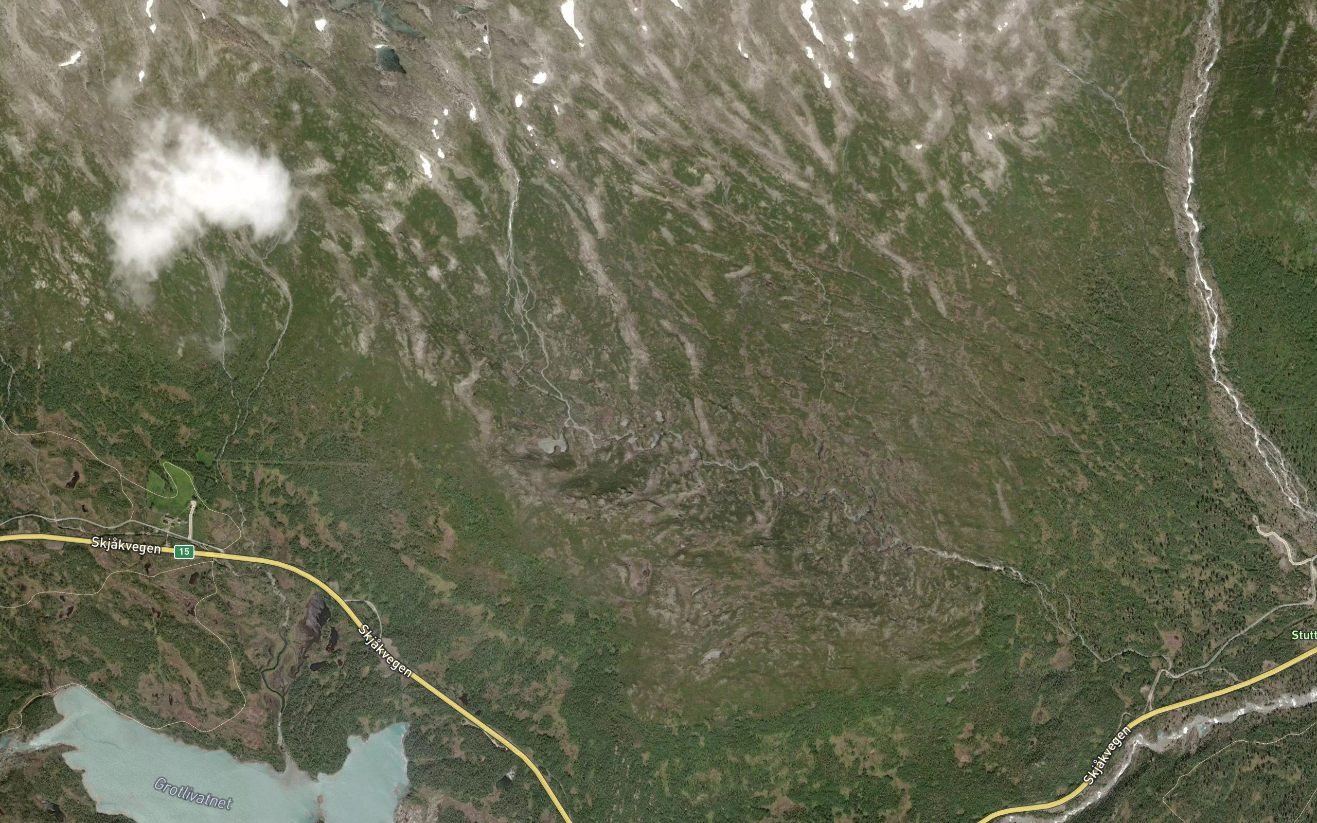 Masagrovtjoynnen