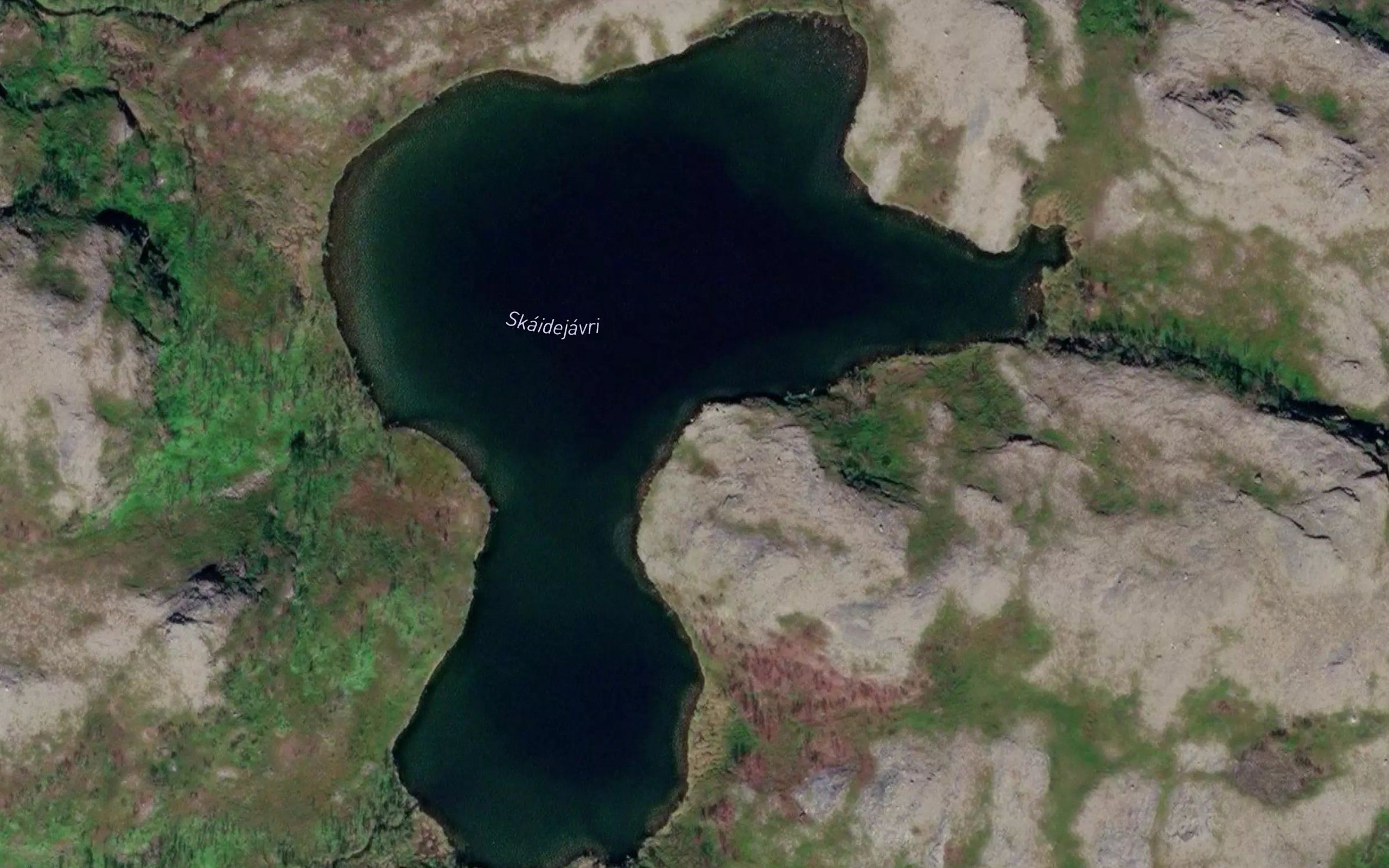 Skaidejavri
