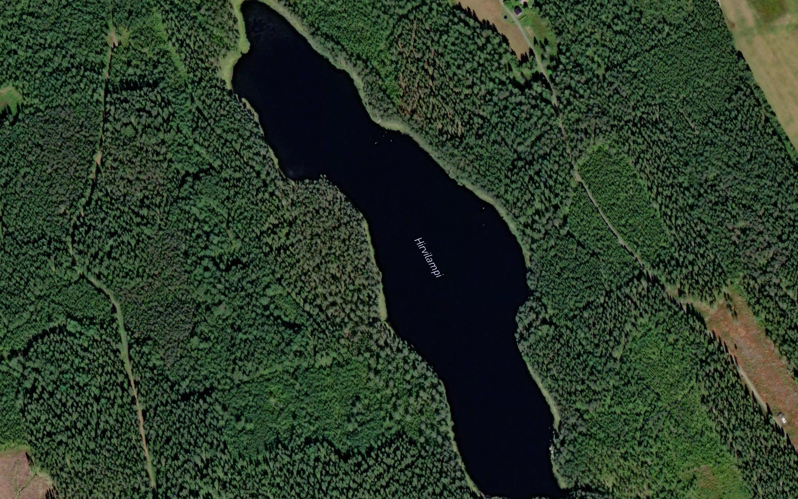 Hirvilampi