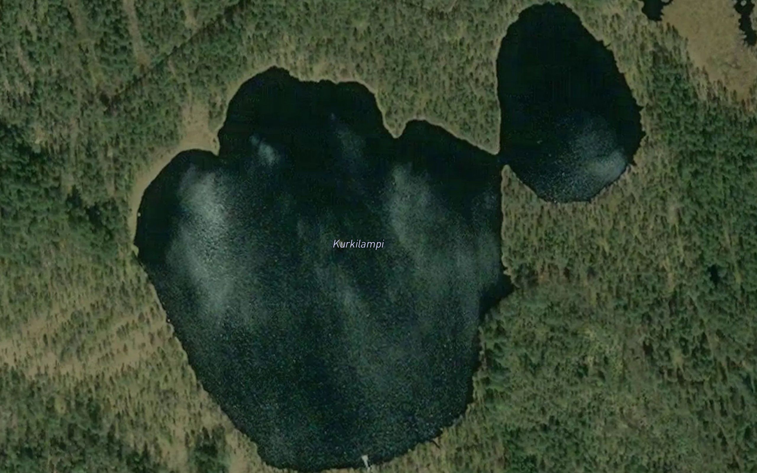 Kurkilampi