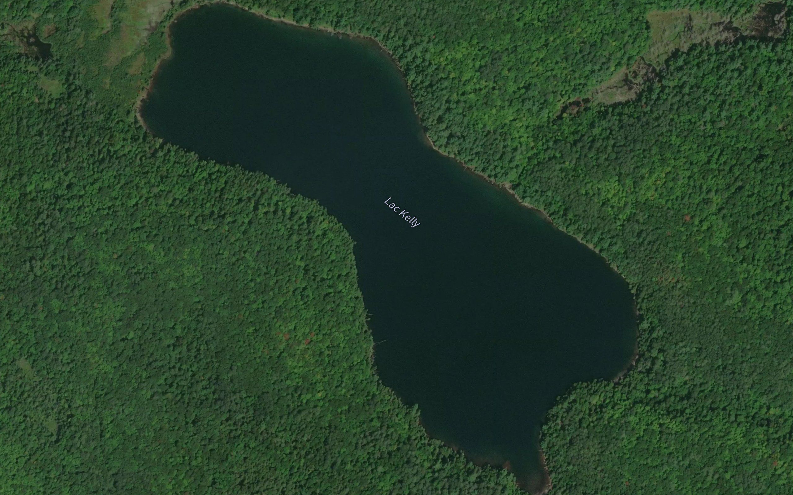 Lac Kelly