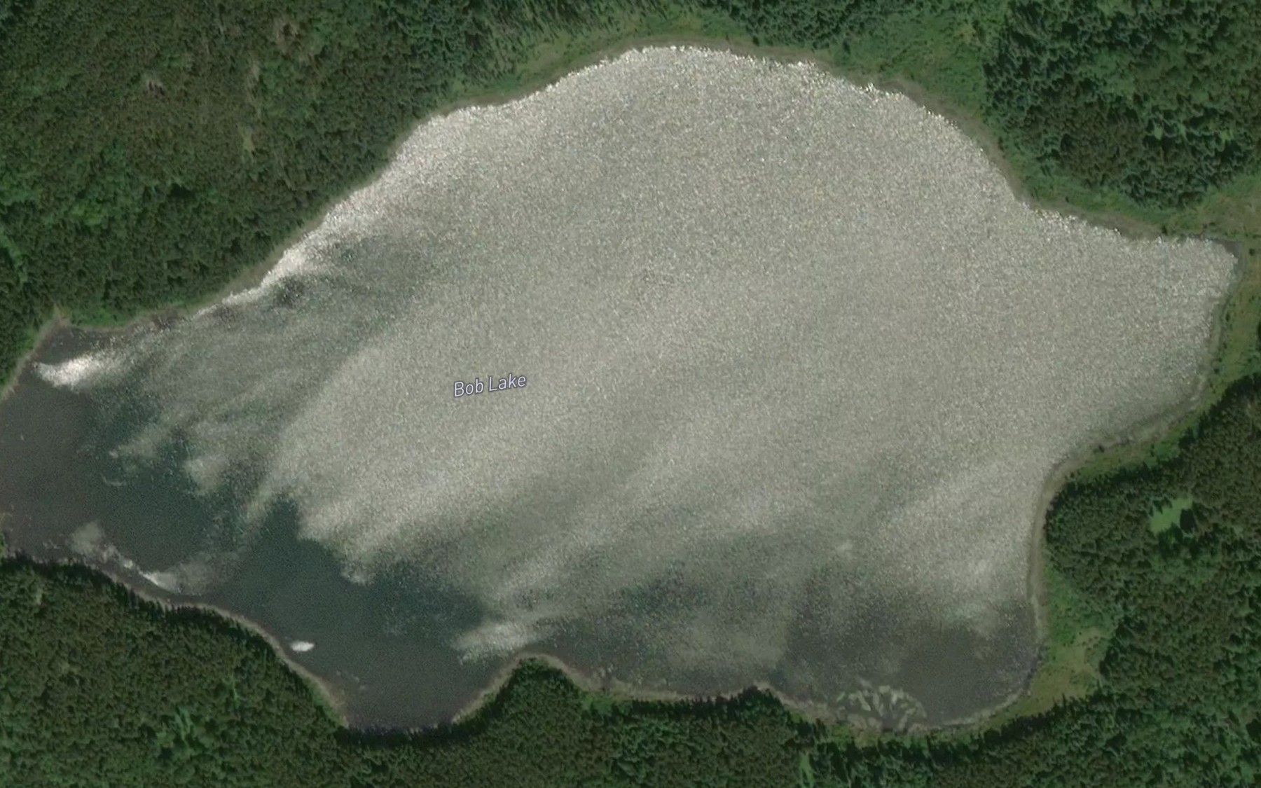 Satellite map of the Bob Lake