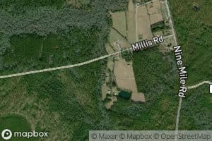 East Prong Jasons Branch