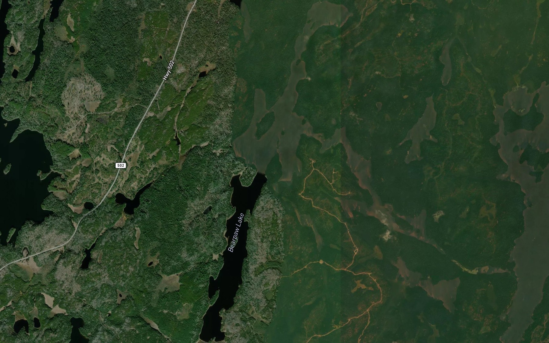 Satellite map of the Bearpaw Lake
