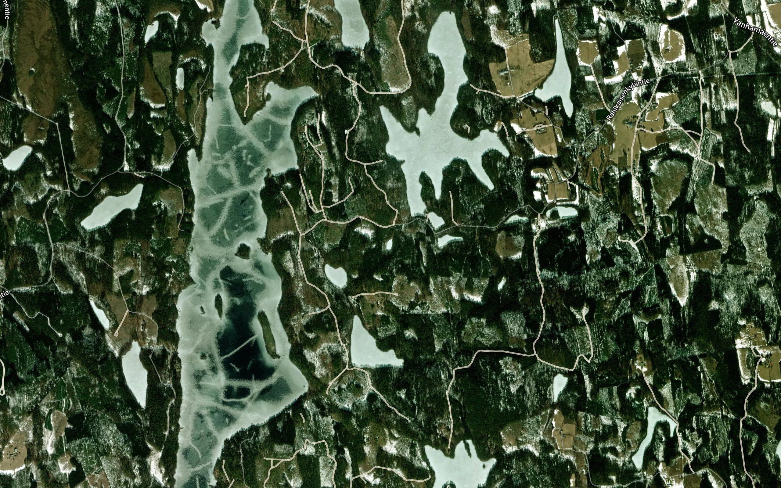 Lintulampi