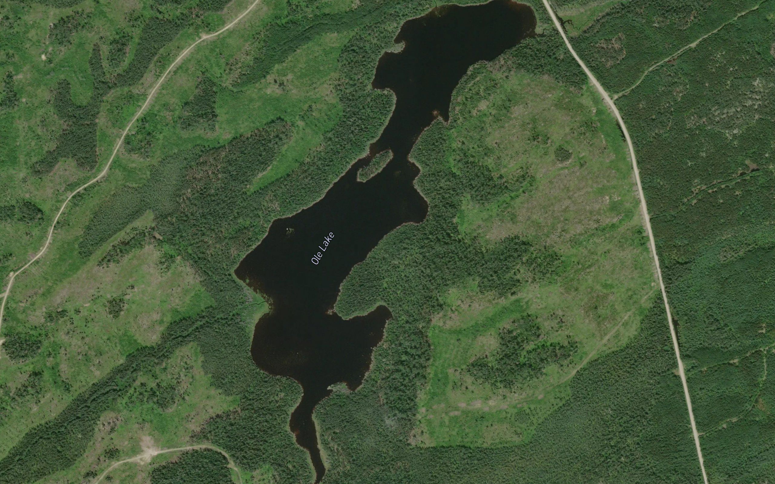 Ole Lake