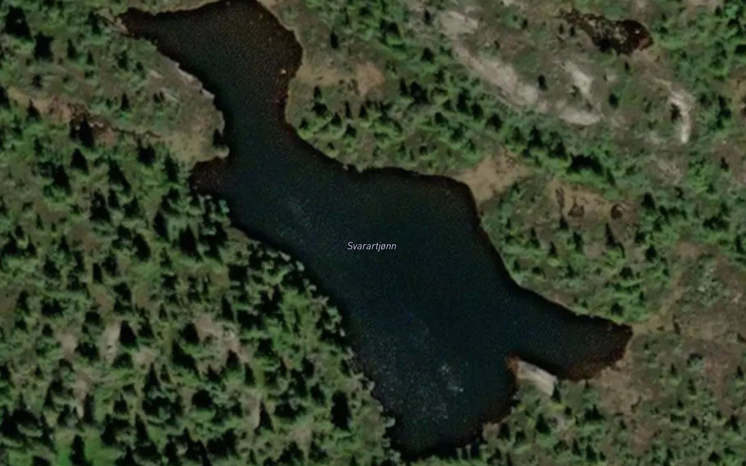 Svarartjonn