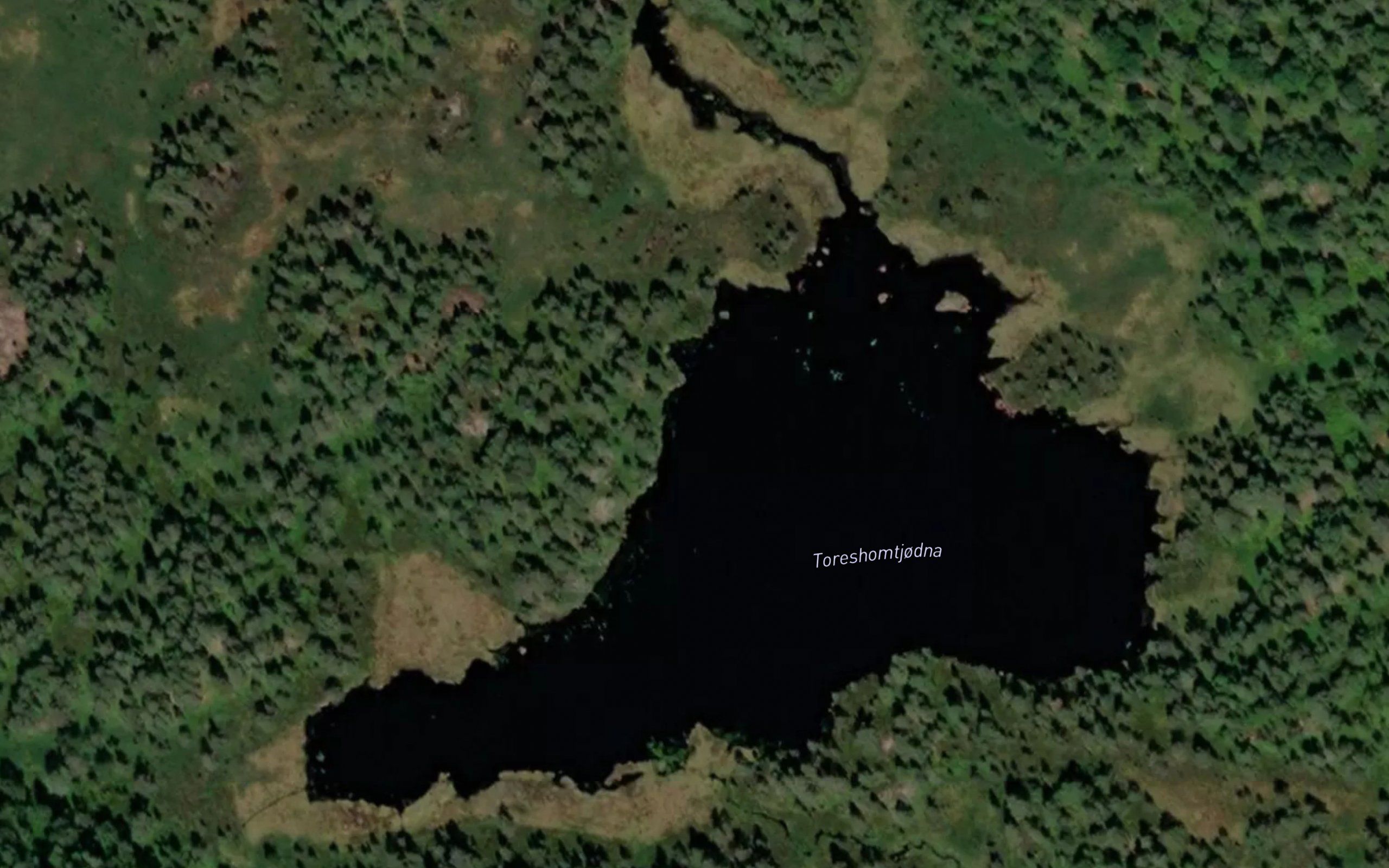 Toreshomtjodna