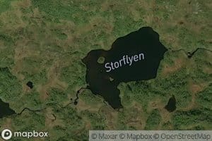 Storflyen