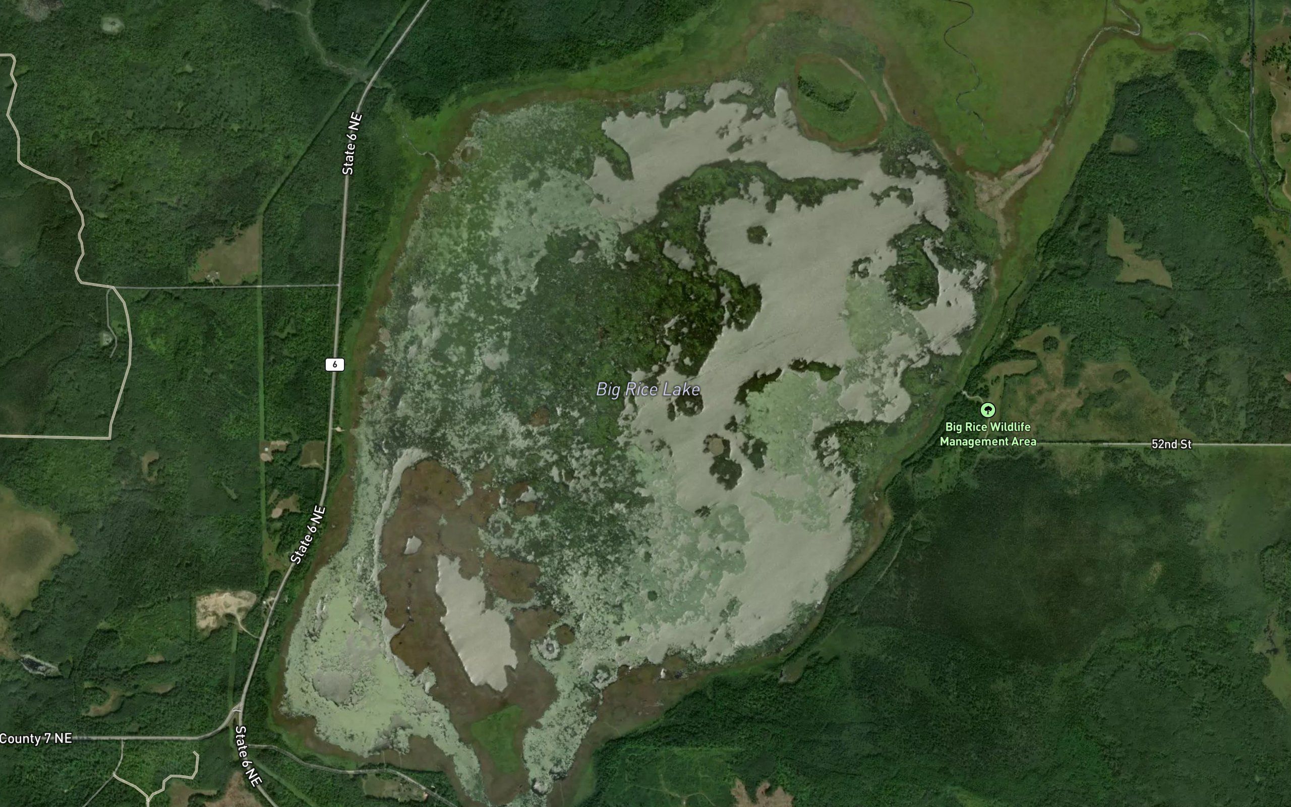 Big Rice Lake