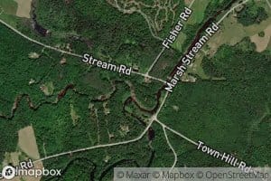 North Branch Marsh Stream