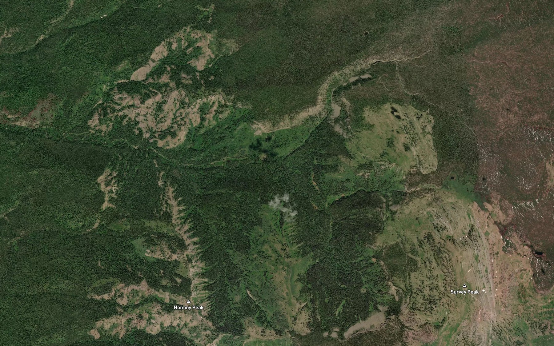 Satellite map of the North Fork South Boone Creek