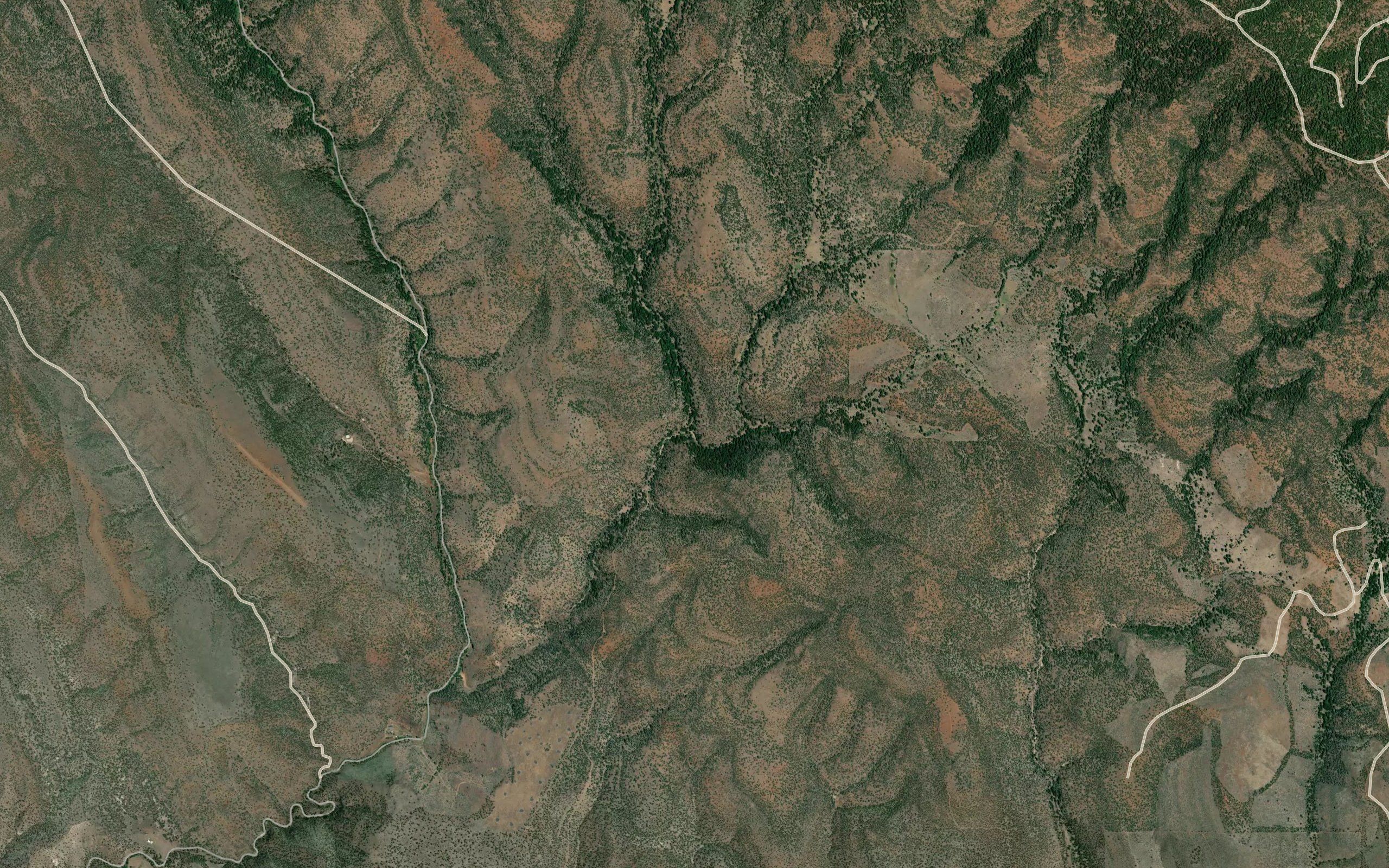Burton Creek