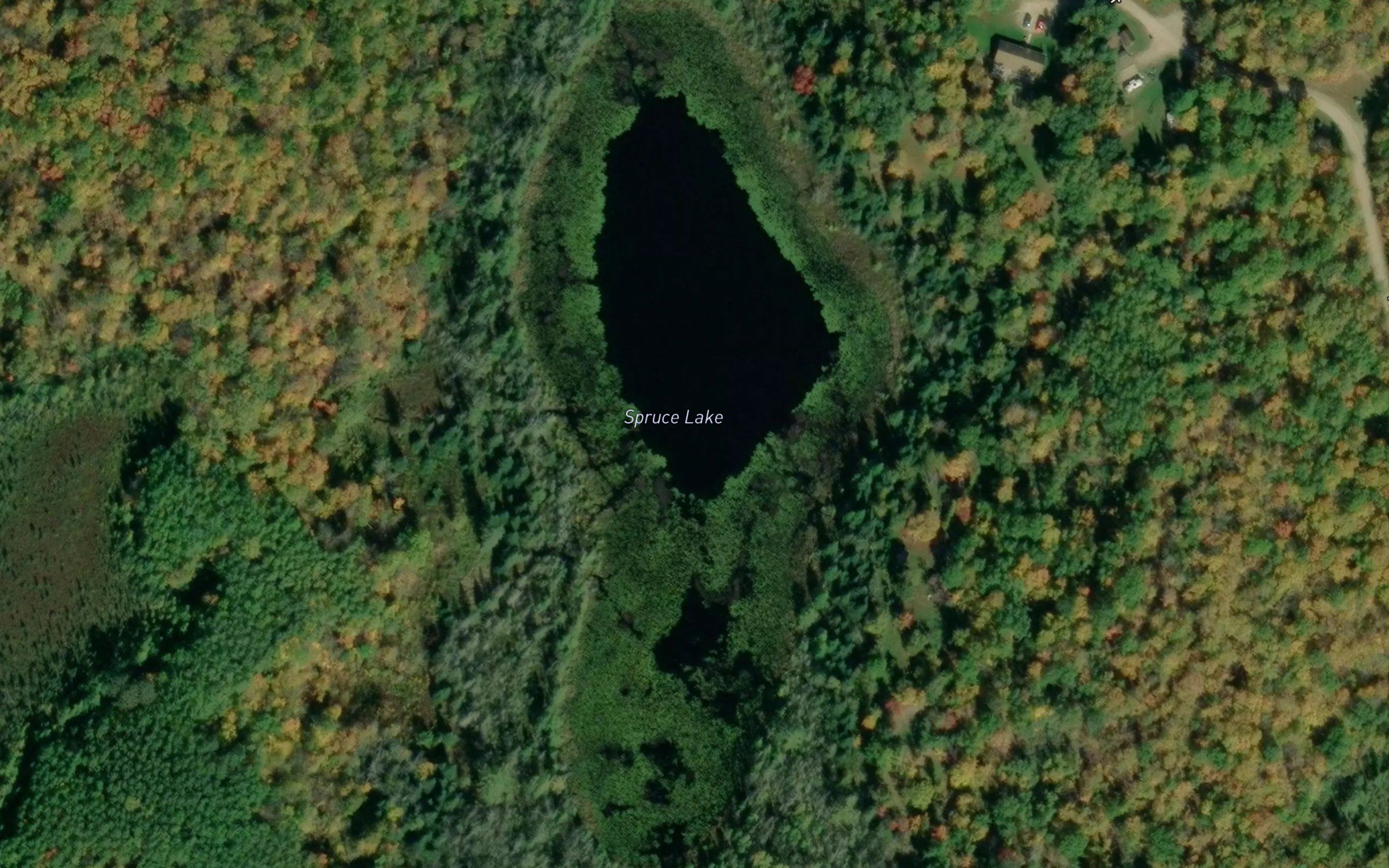 Spruce Lake