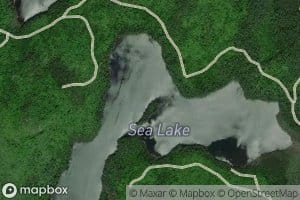 Sea Lake