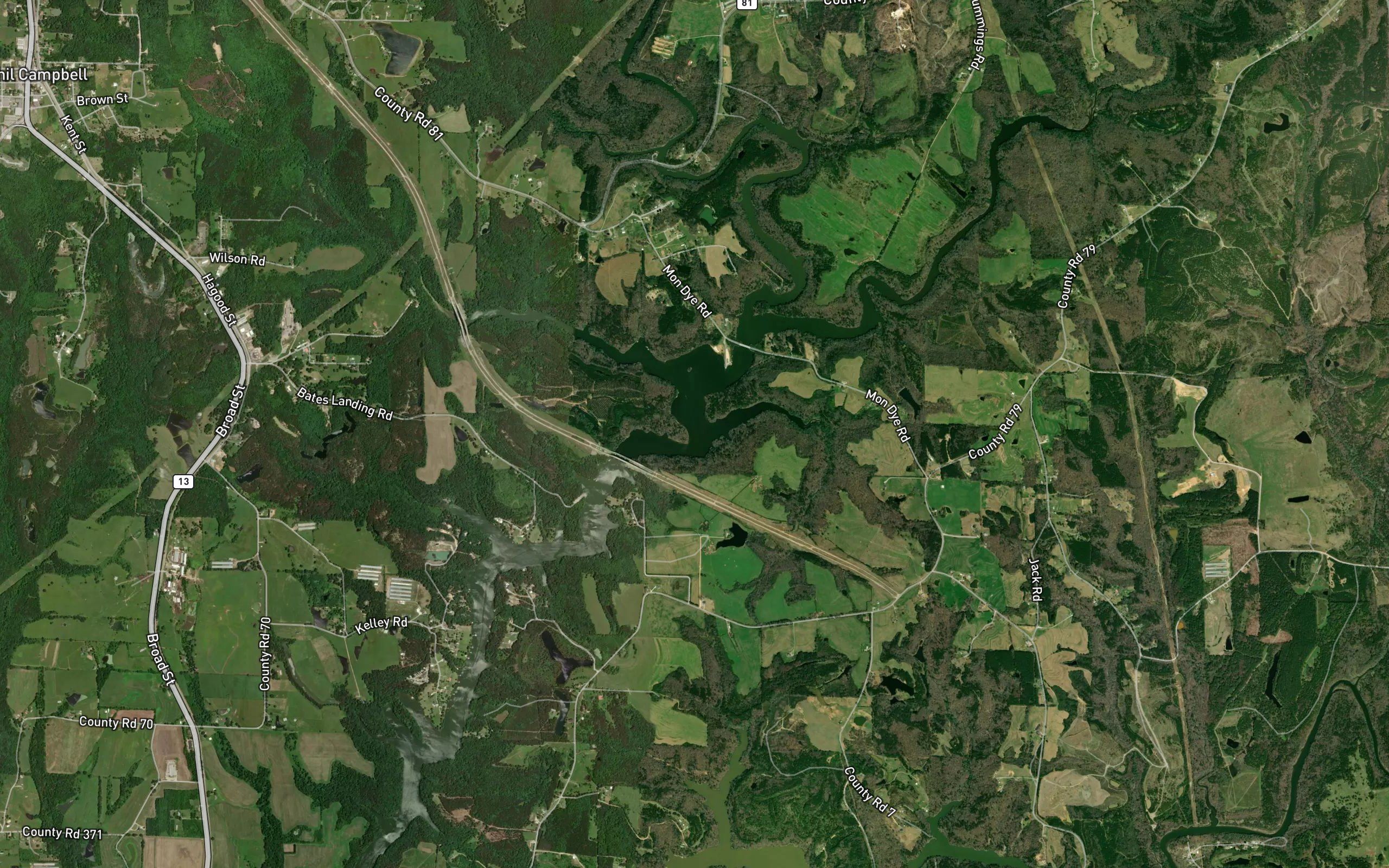 Dime Spring Branch