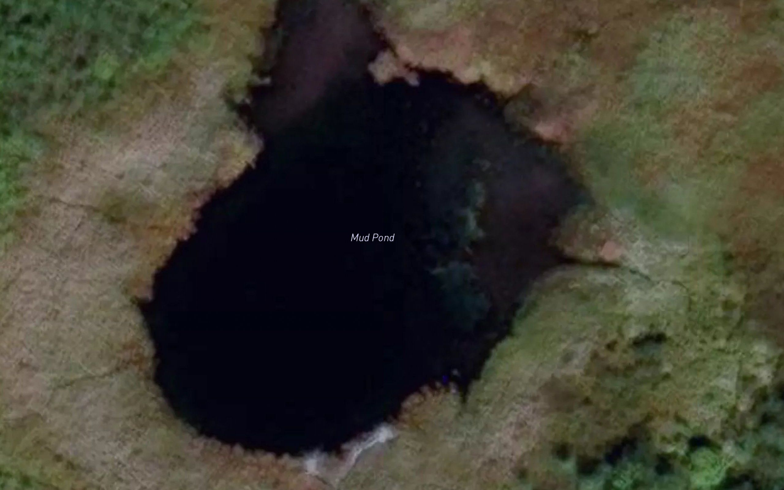 Mud Pond