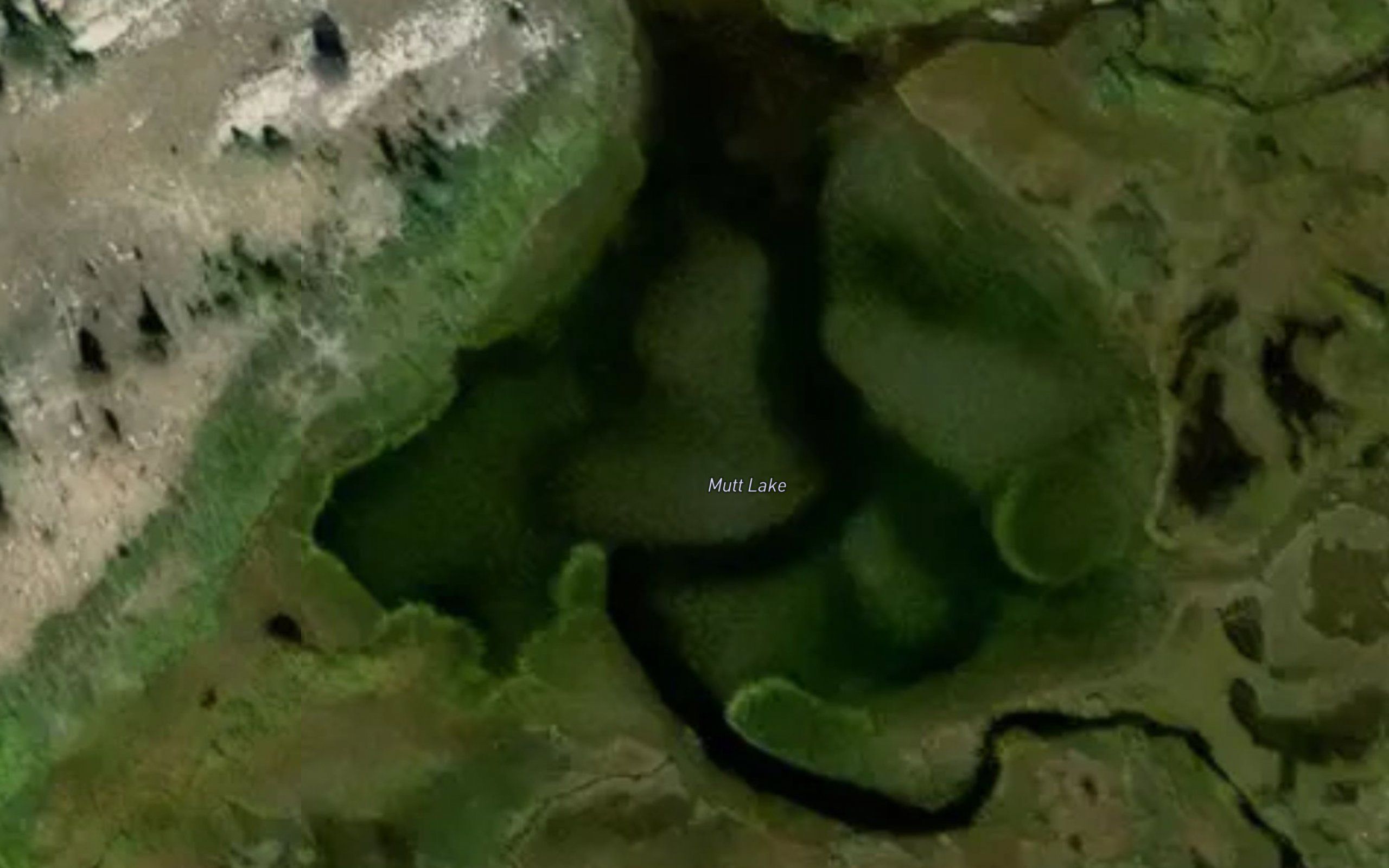 Mutt Lake
