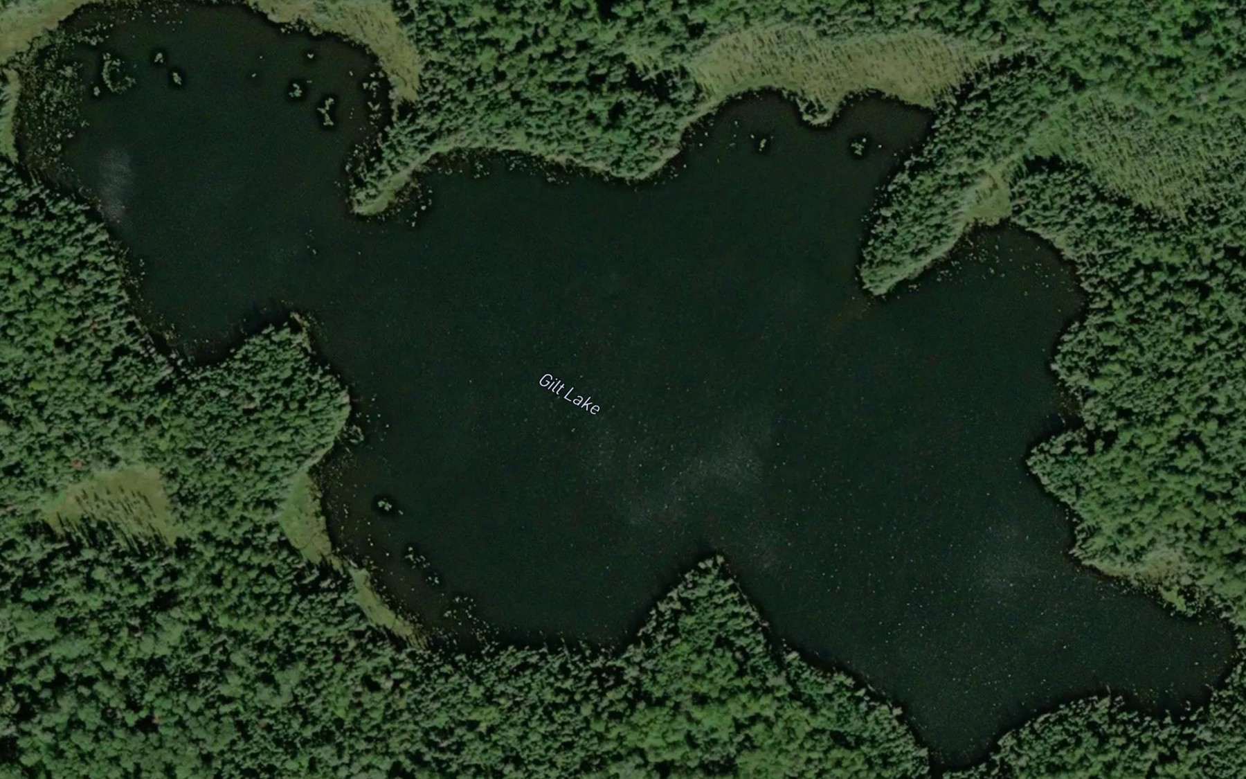 Satellite map of the Gilt Lake