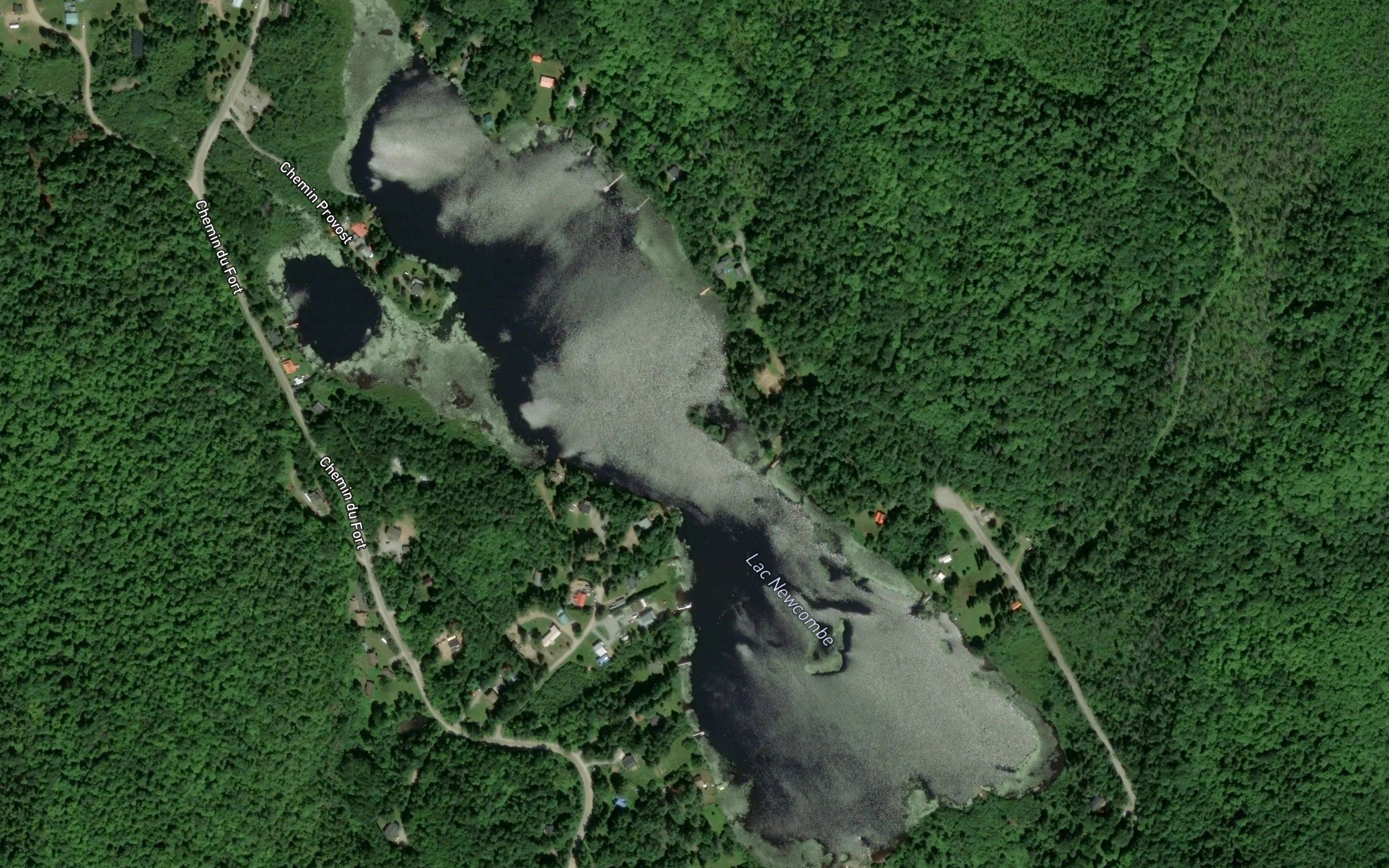 Lac Newcombe