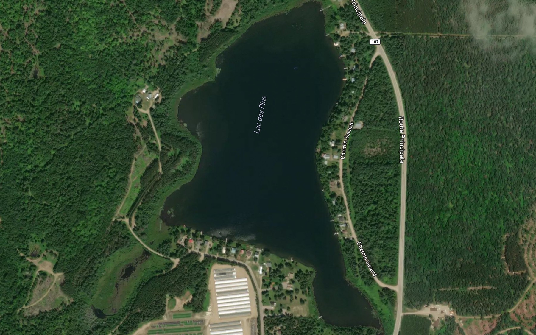 Satellite map of the Lac des Pins