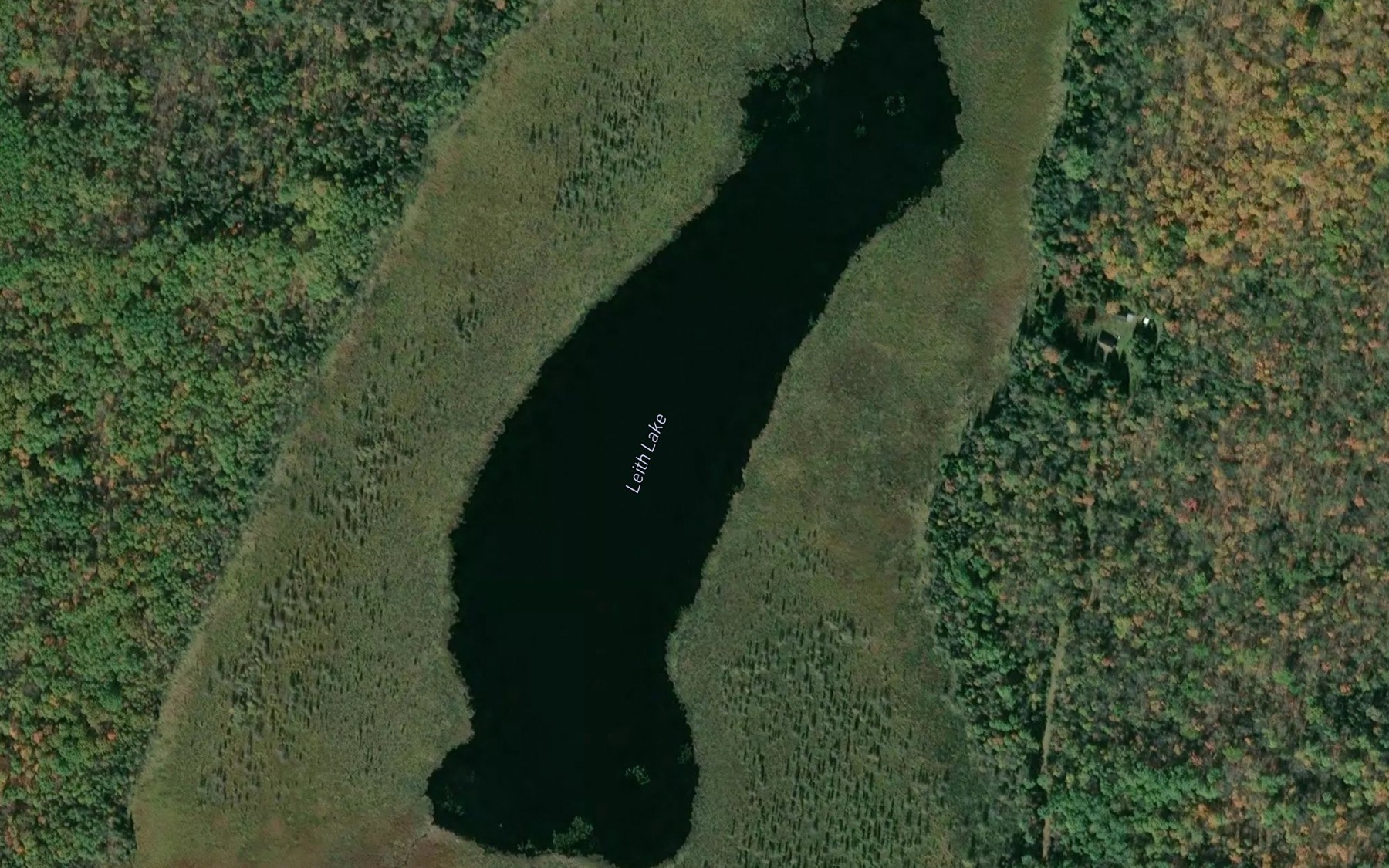 Satellite map of the Leith Lake