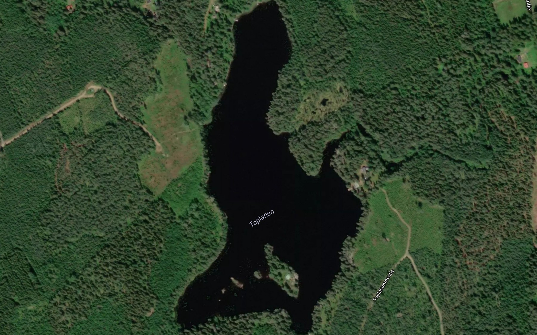 Satellite map of the Toplanen