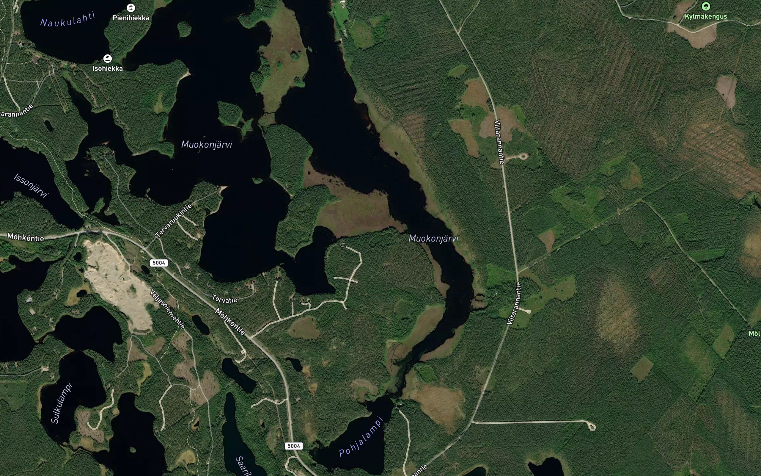 Siitarinjoki