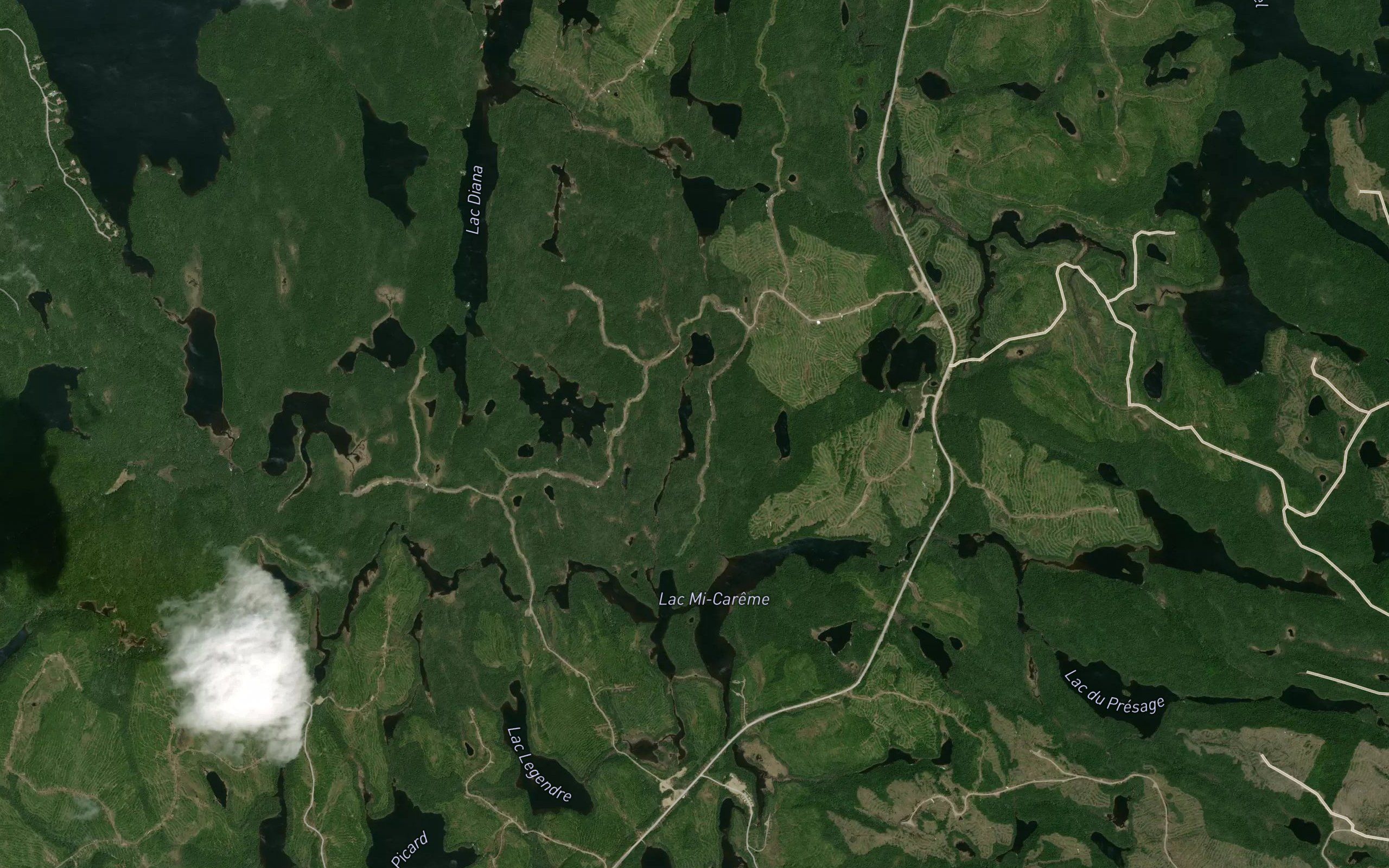 Lac du Kalmia