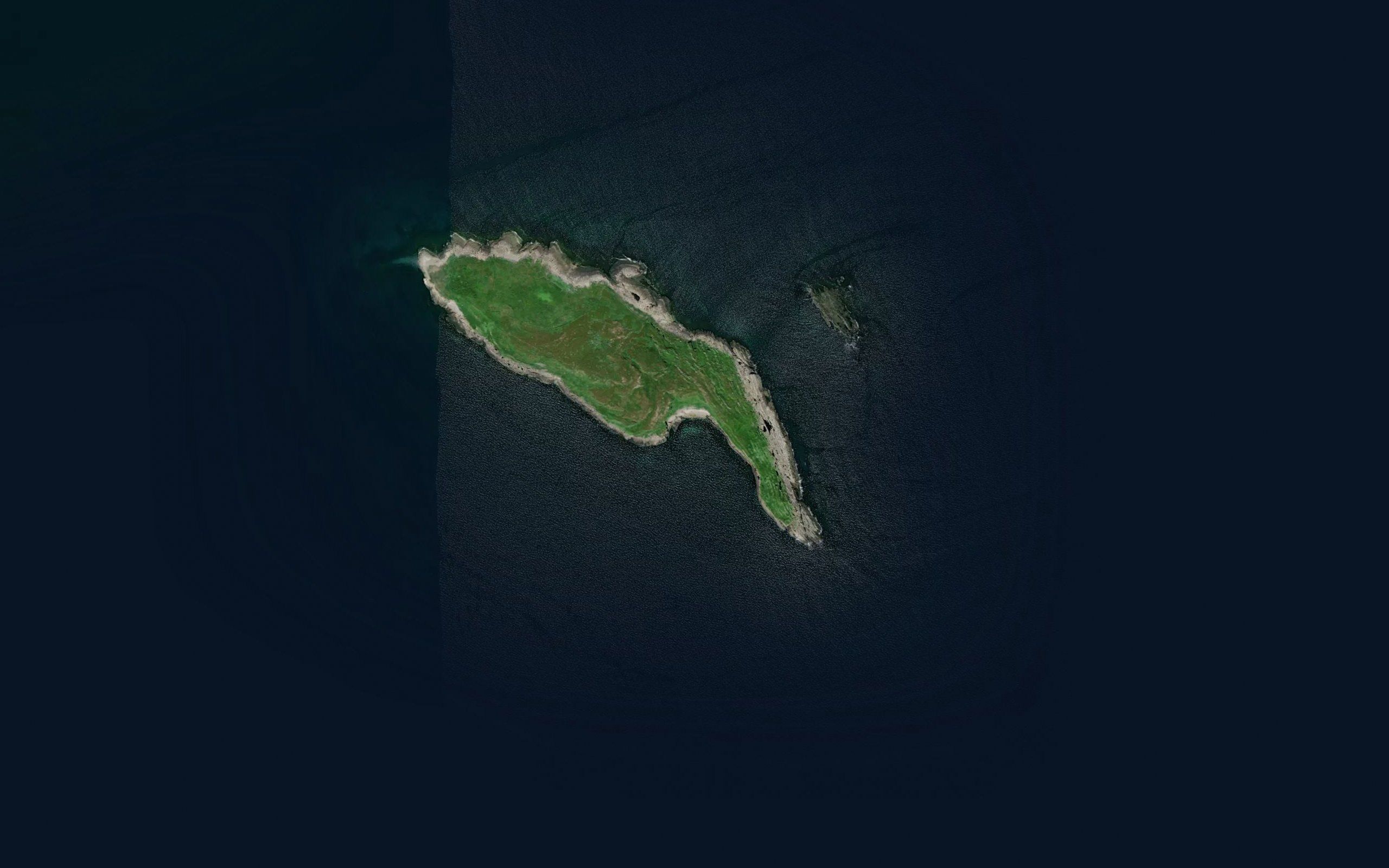 Ramneflogmolla