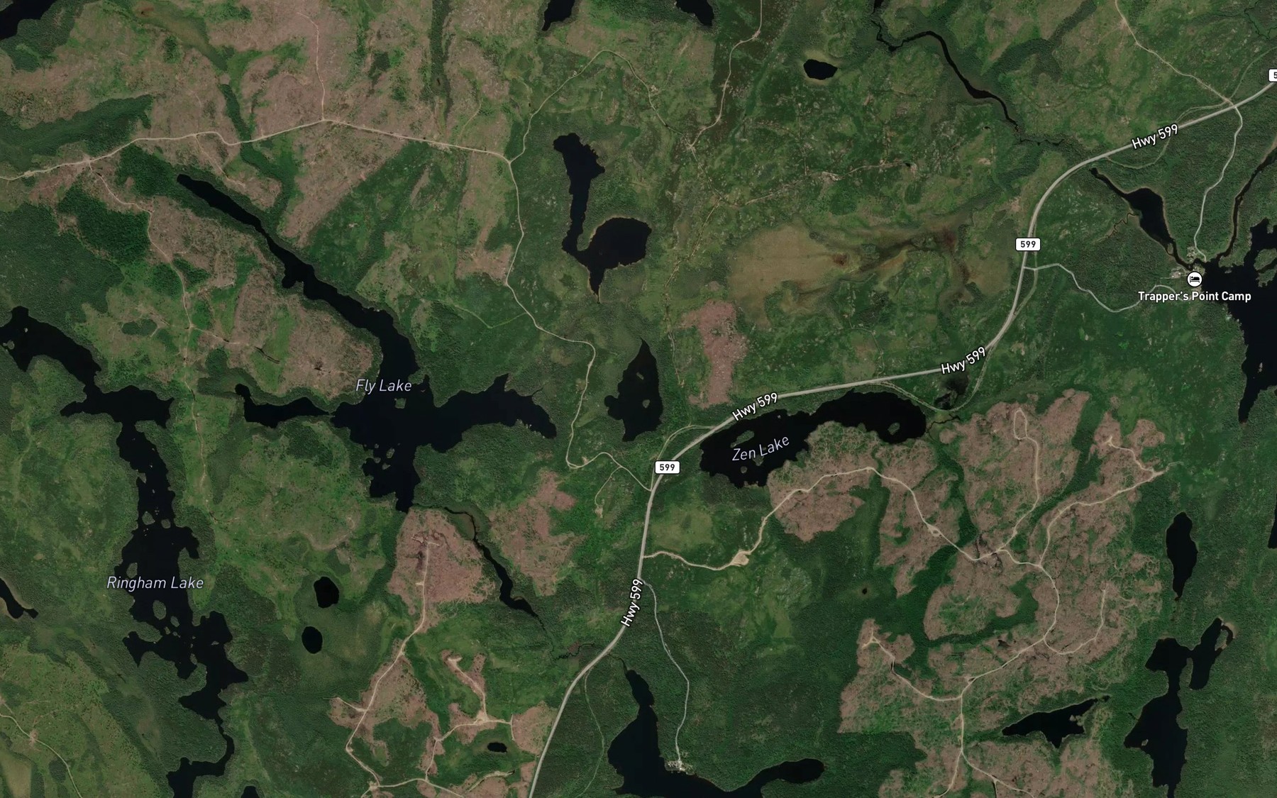 Satellite map of the Wolf Lake