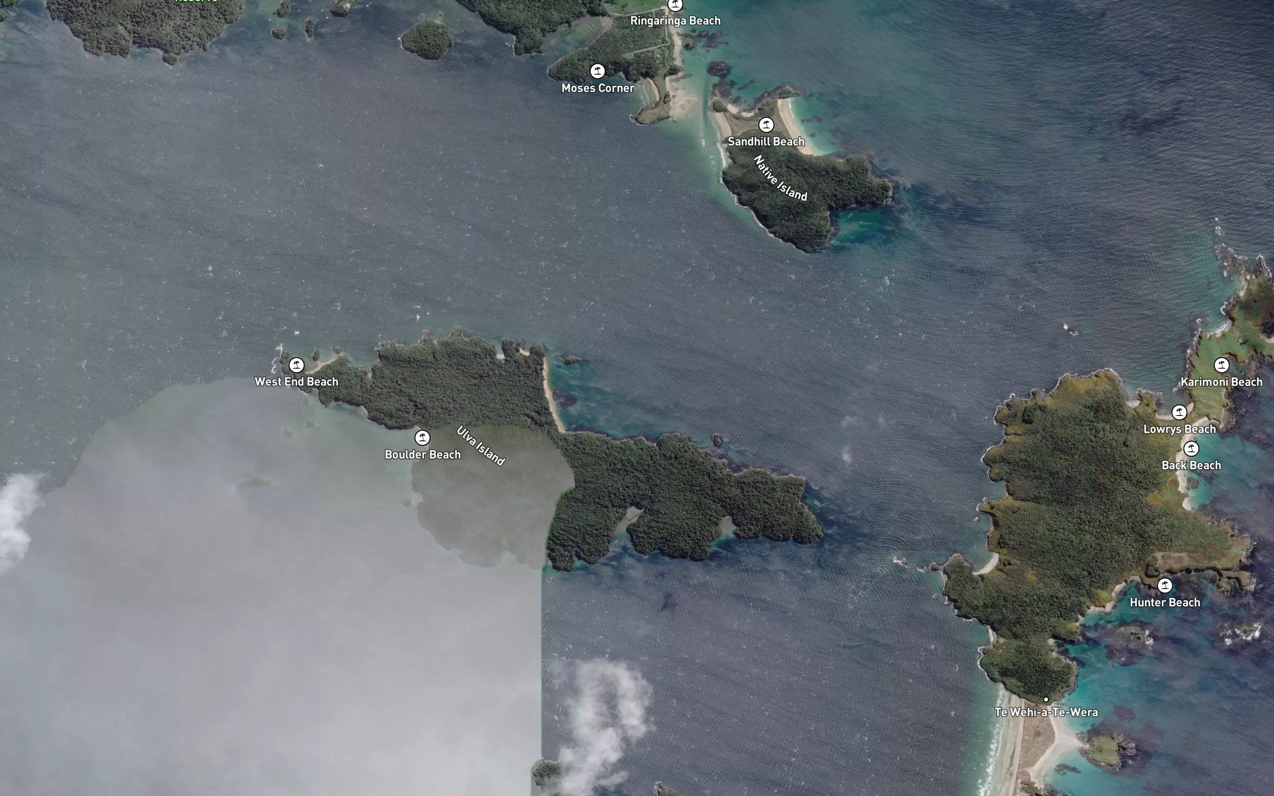 Roger Bay