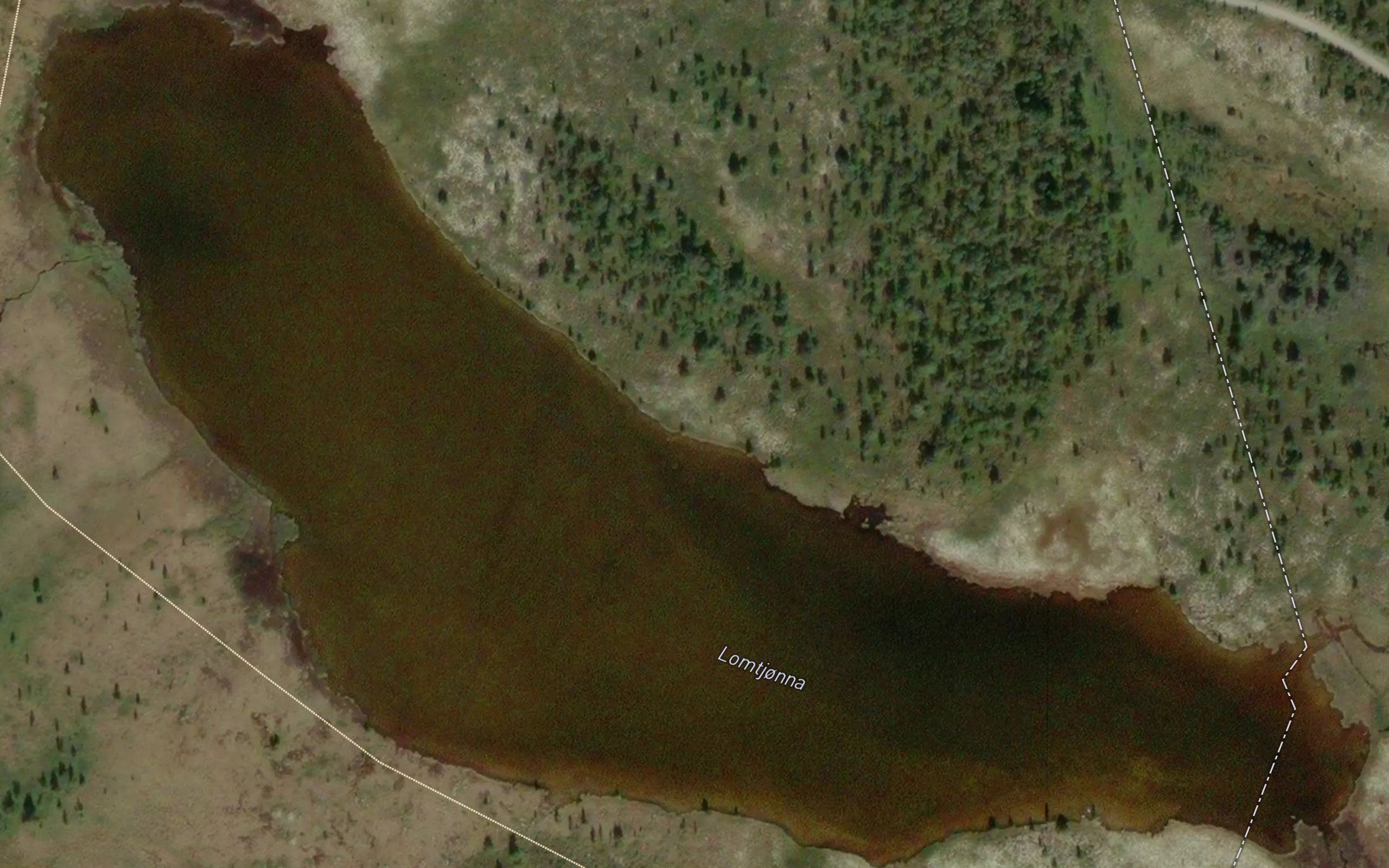 Lomtjorna