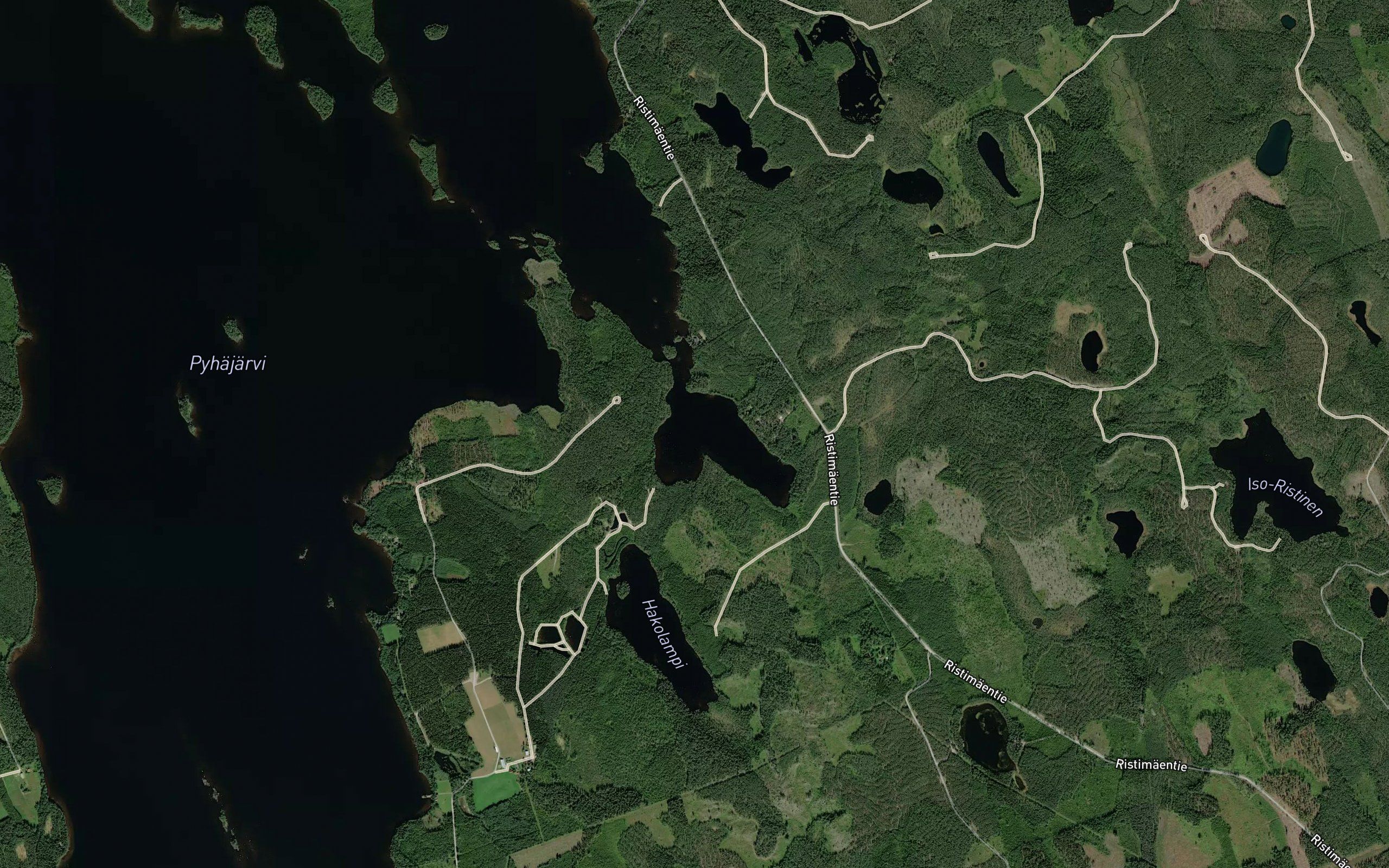 Lammusteenlahti