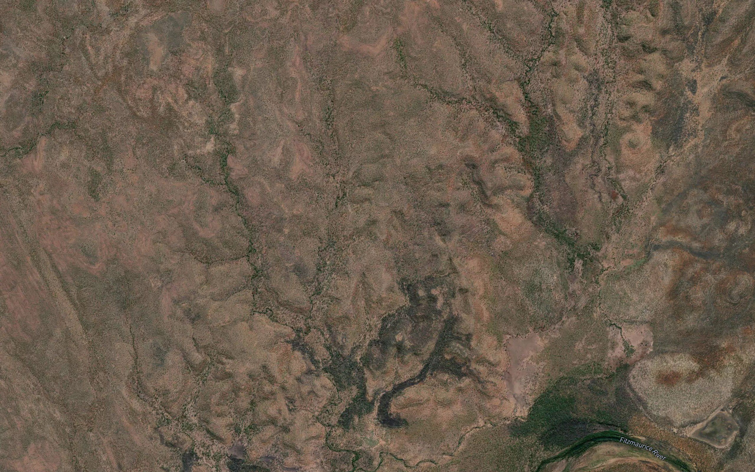 Alligator Creek