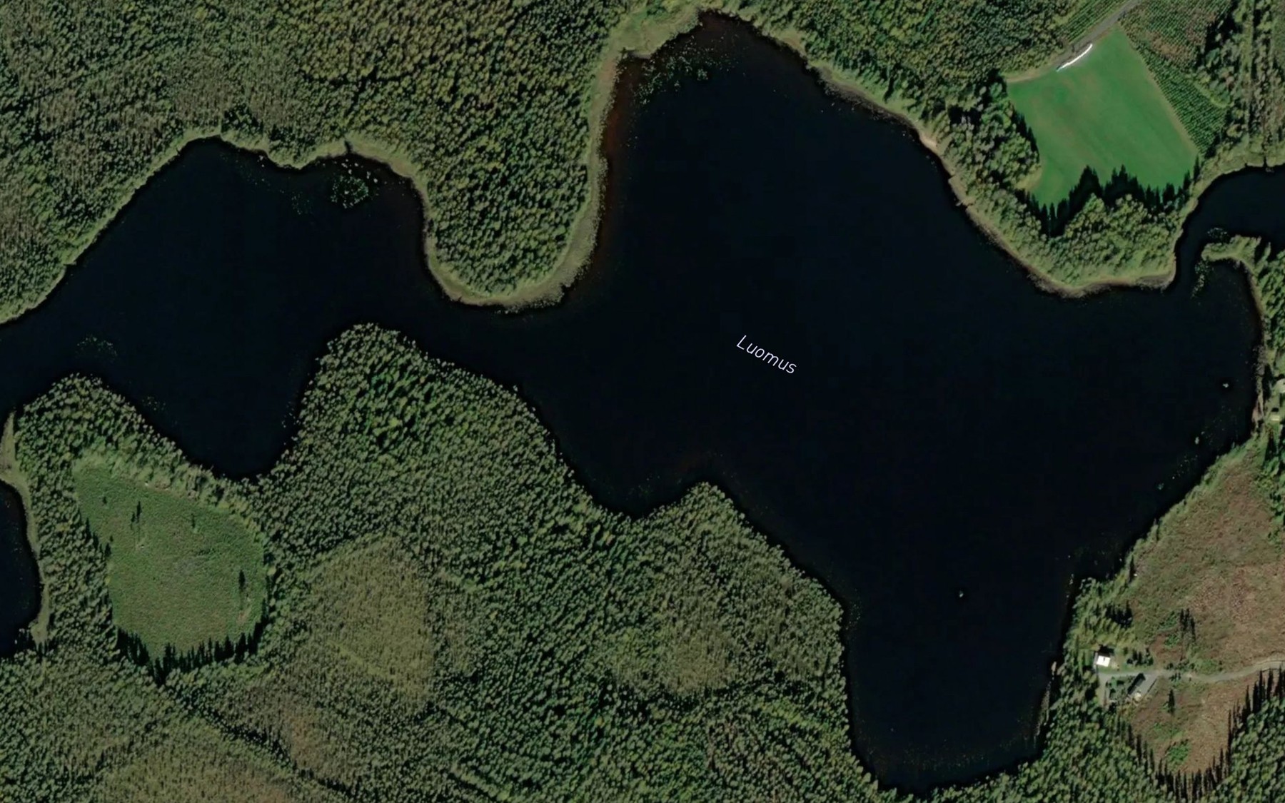 Satellite map of the Luomus