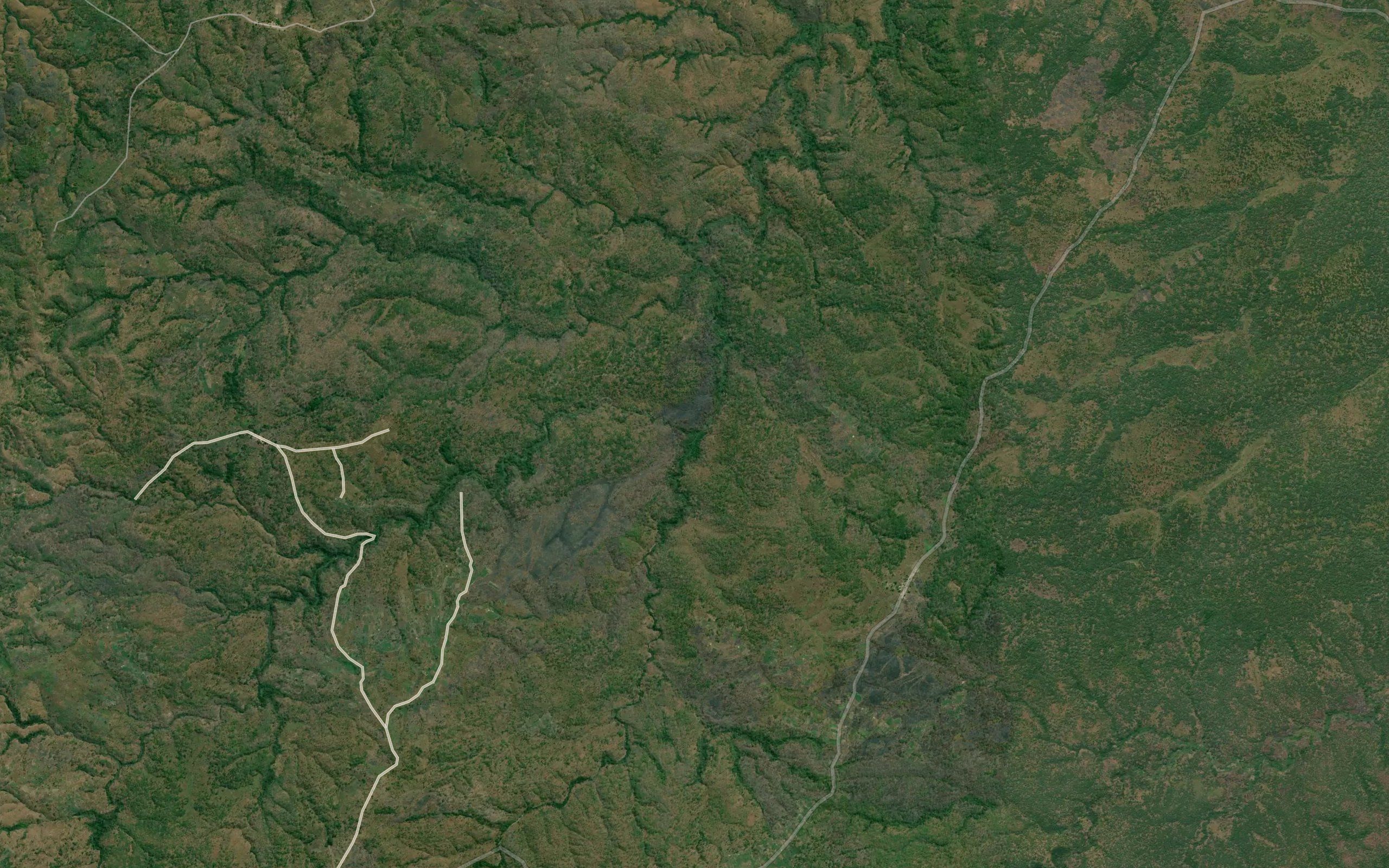 Chitula
