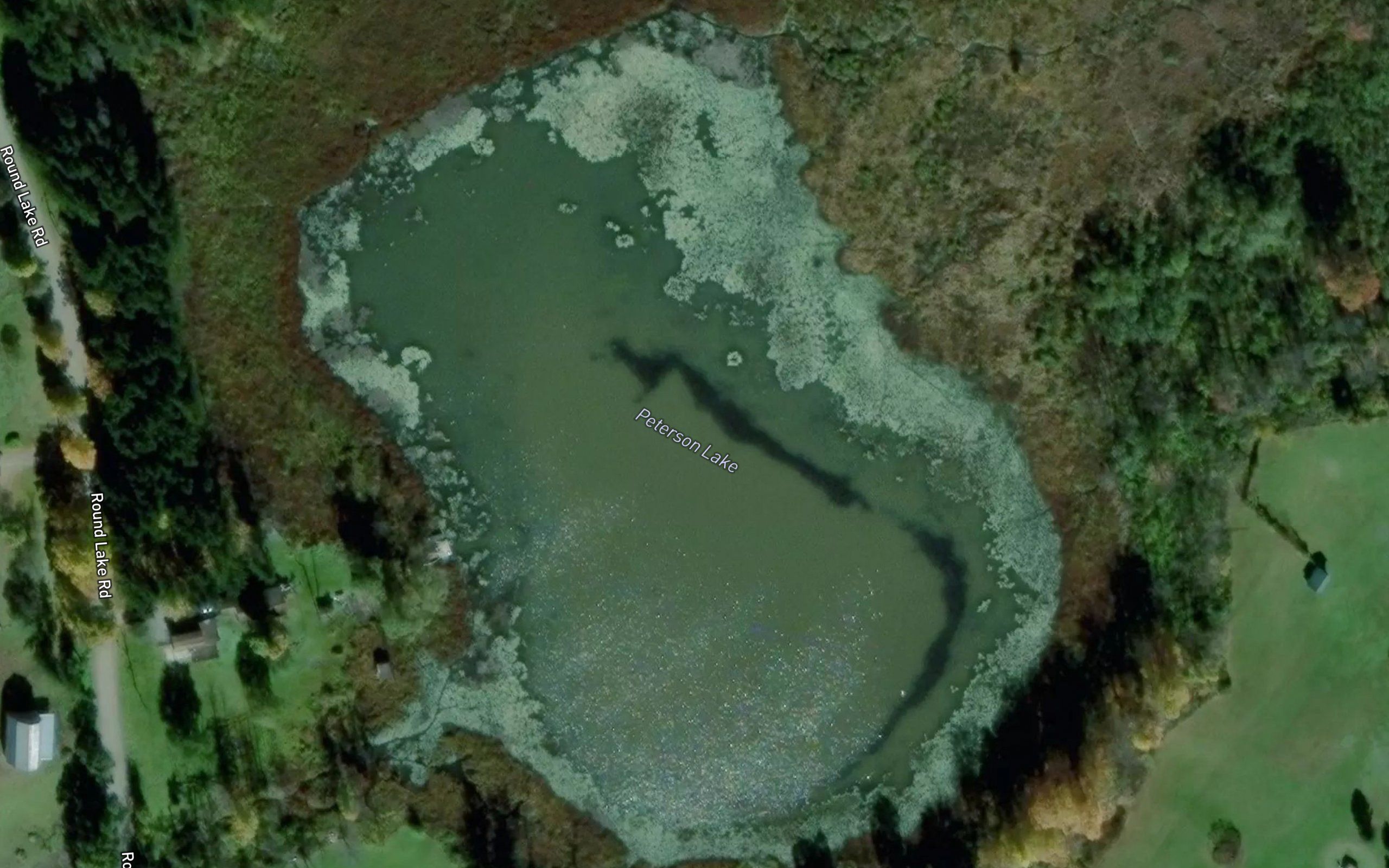 Peterson Lake