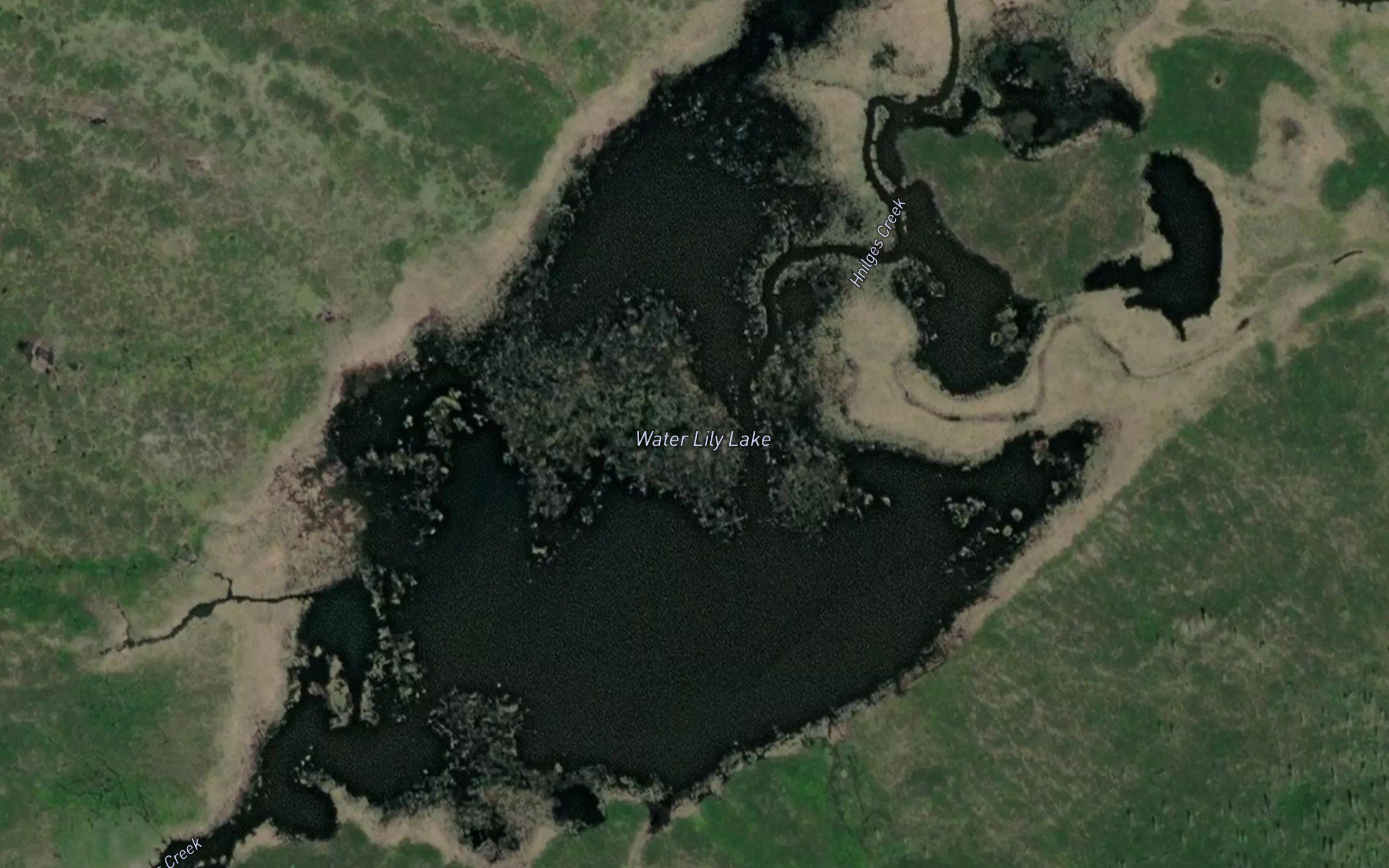 Water Lily Lake