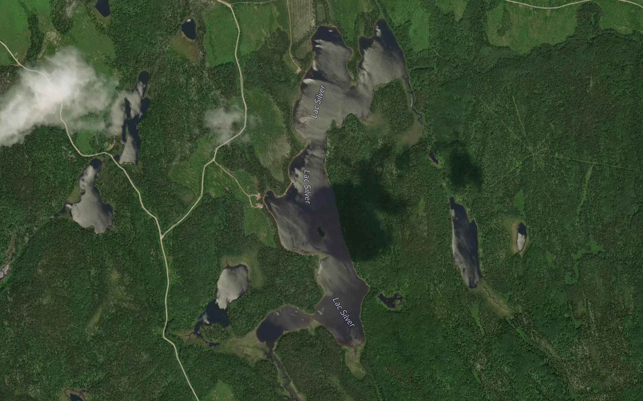 Lac Silver