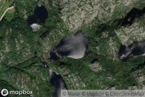 Maurtjorn