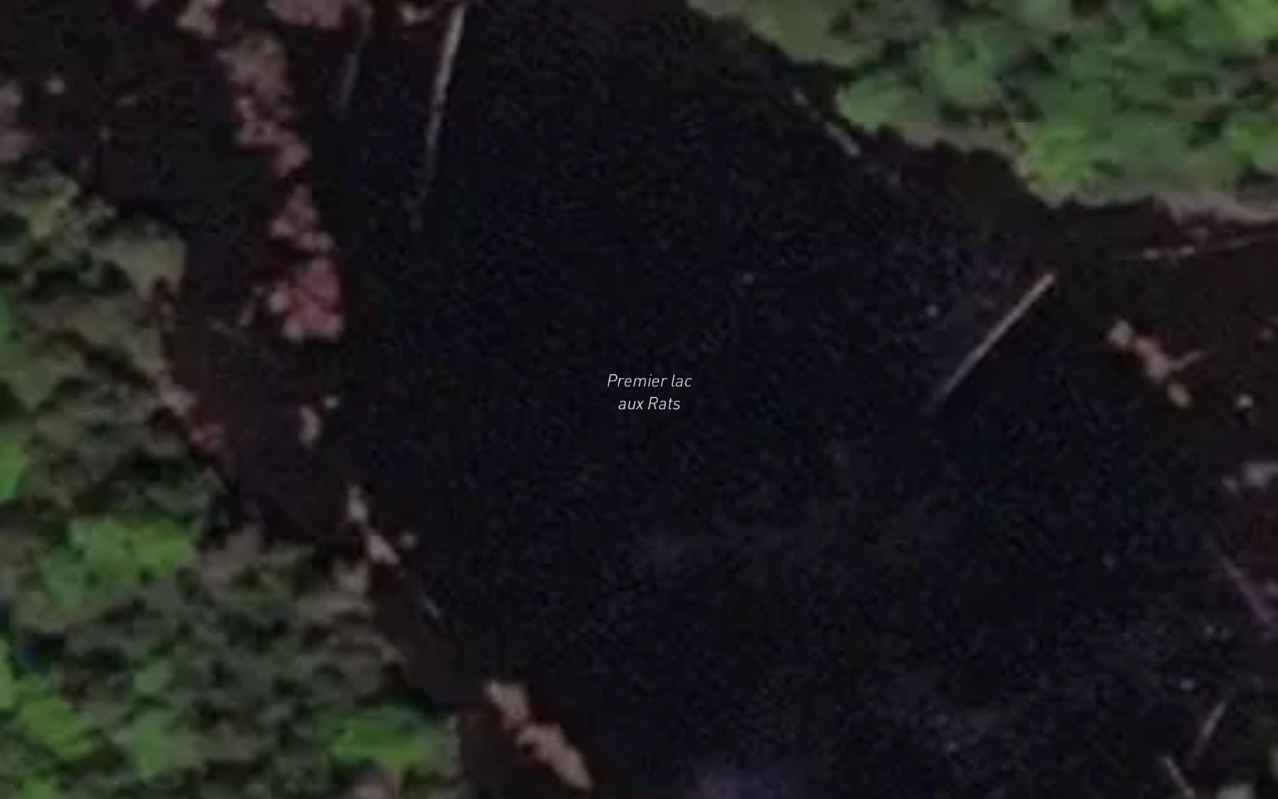Satellite map of the Premier lac aux Rats