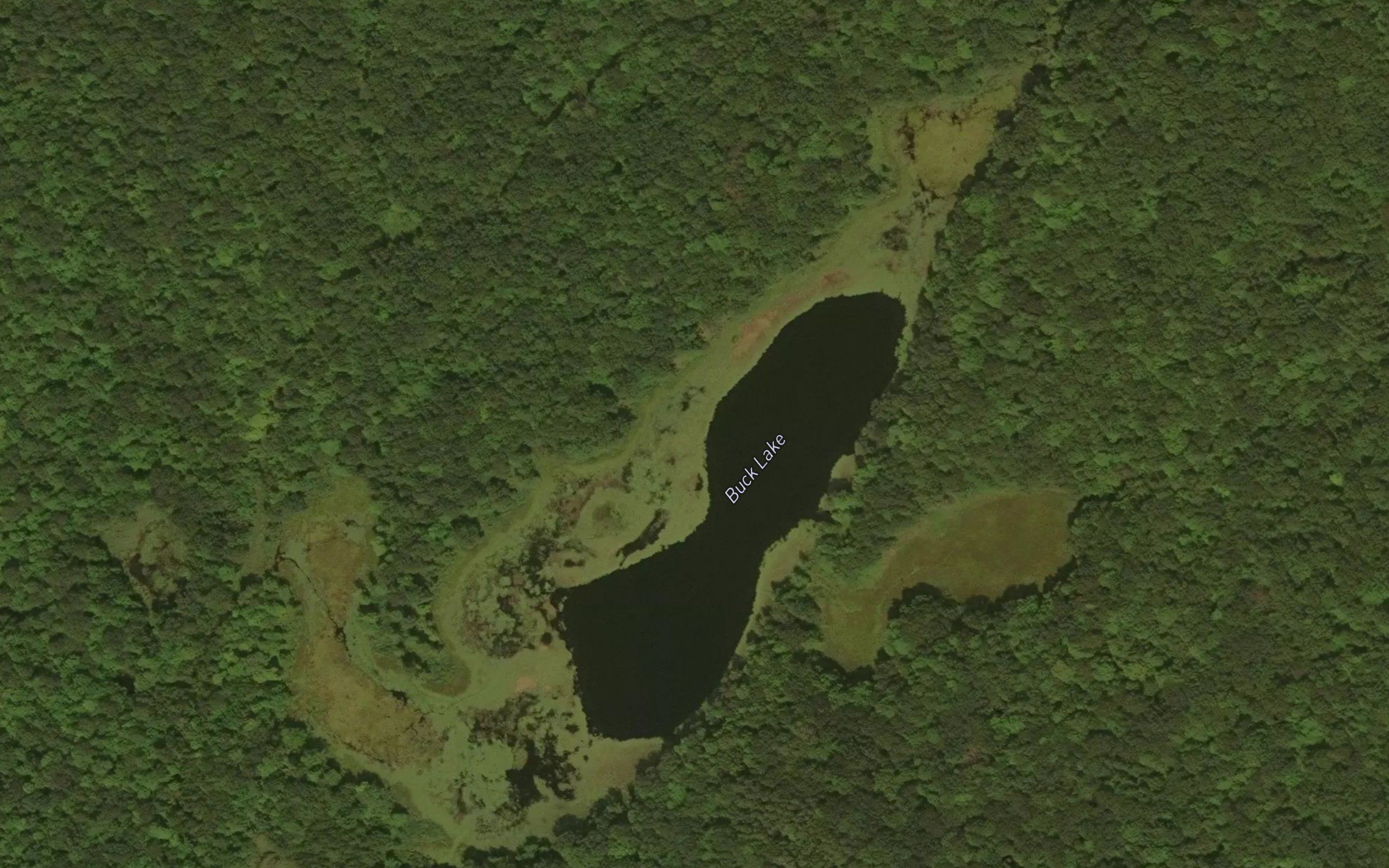 Buck Lake