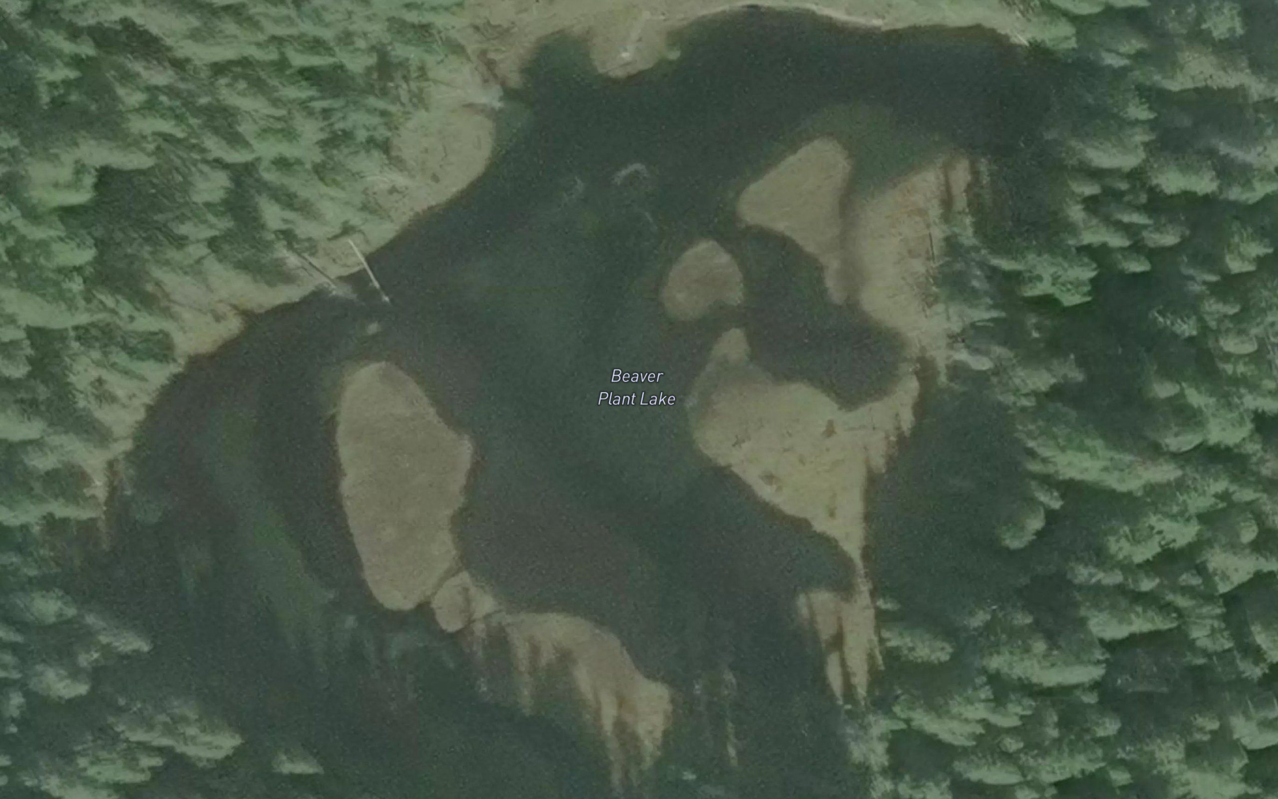 Beaver Plant Lake